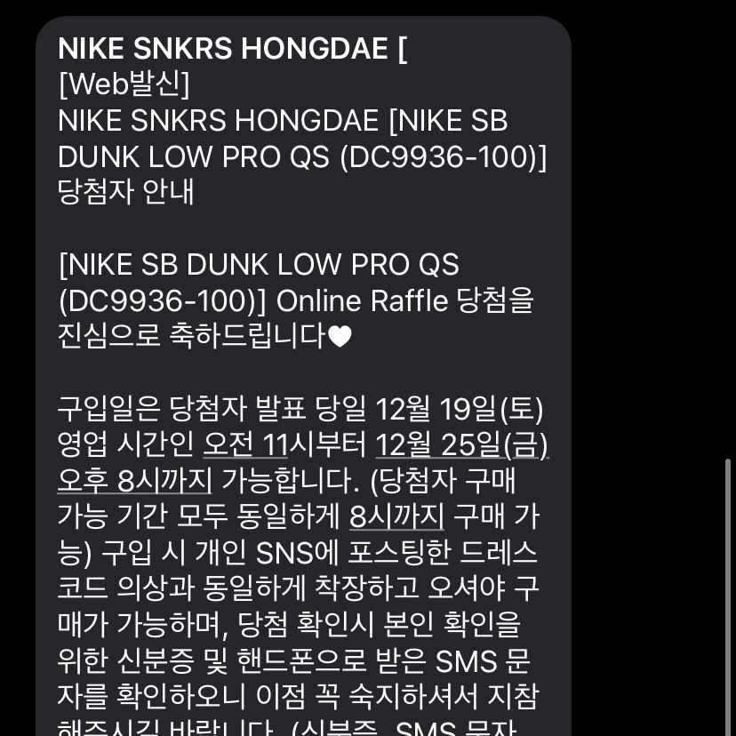 Nike x Sean Cliver SB Dunk Low Holiday Special 착용 스타일