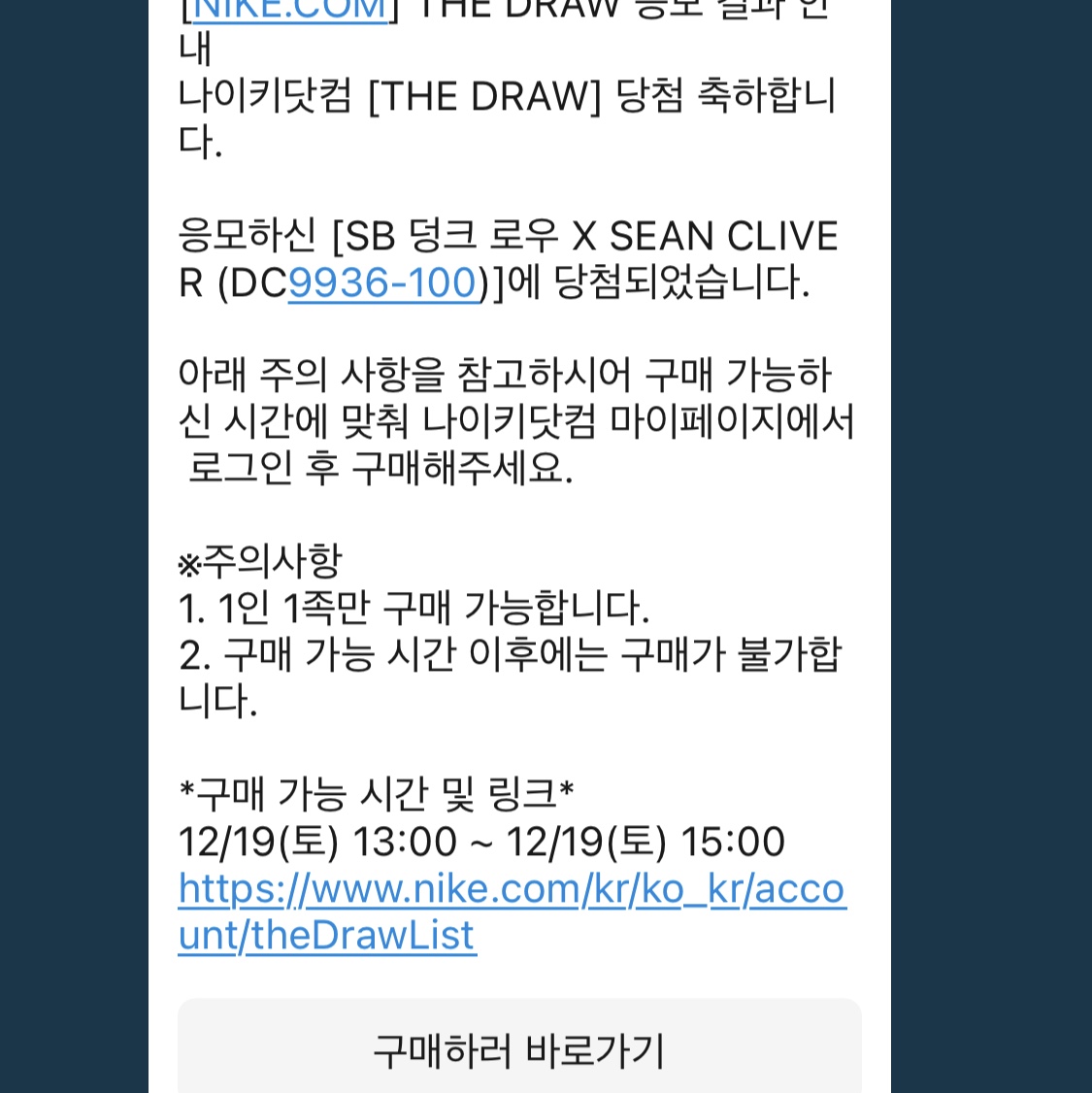 Nike x Sean Cliver SB Dunk Low Holiday Special 착용 스타일
