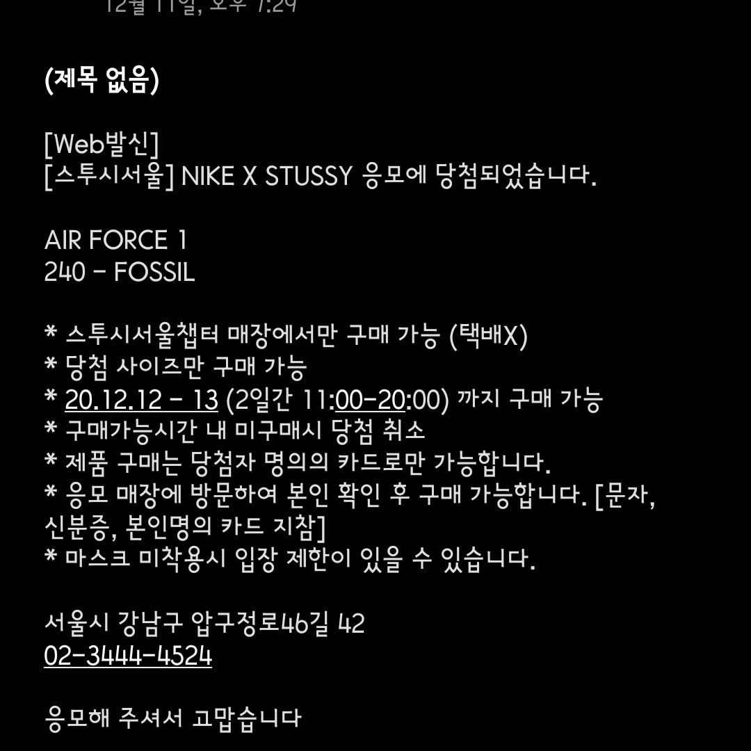 Nike x Stussy Air Force 1 Low Fossil 착용 스타일