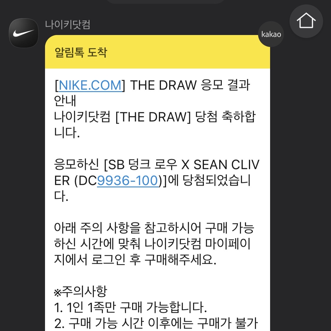 Nike x Sean Cliver SB Dunk Low Holiday Special 착용 스타일