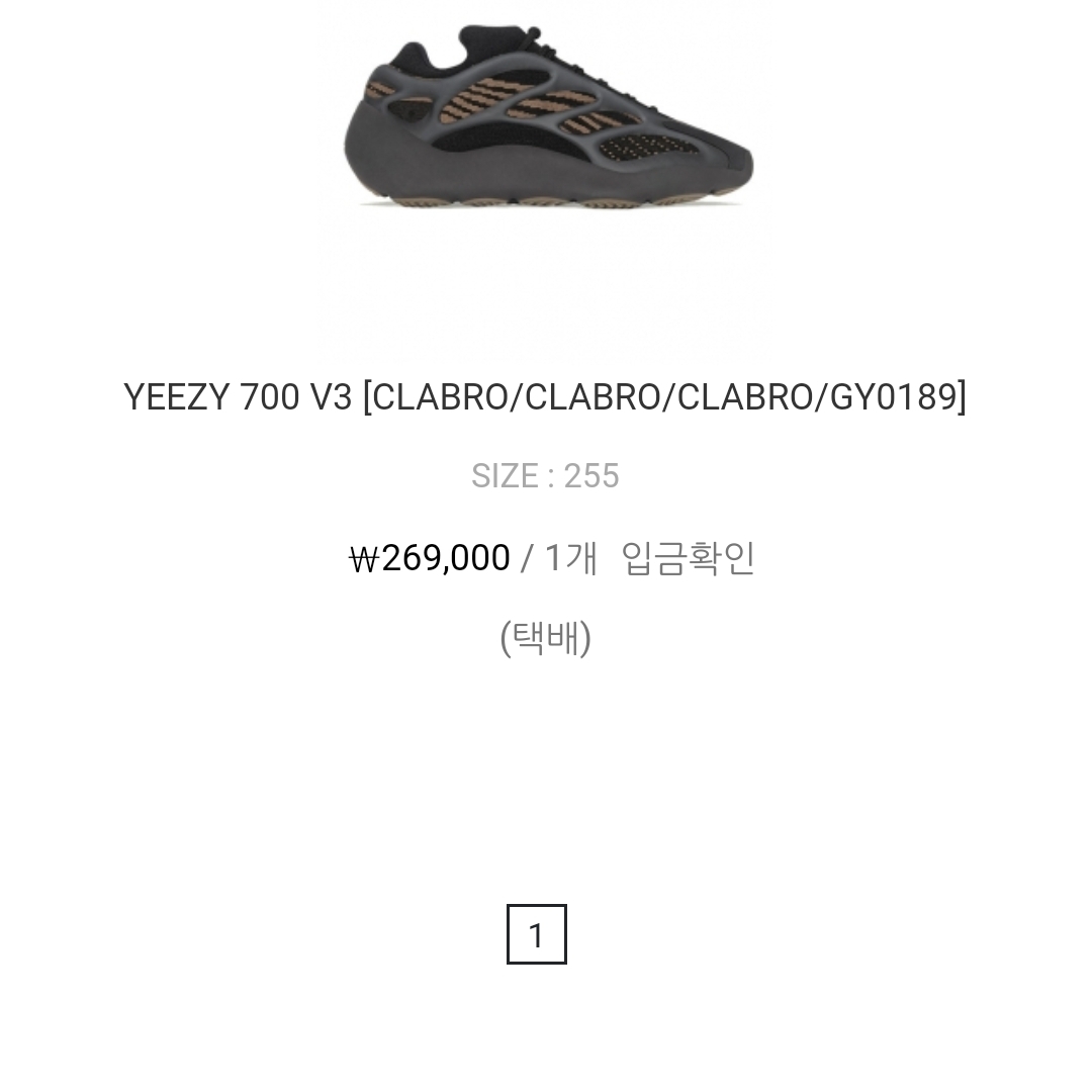 Adidas Yeezy 700 V3 Clay Brown 착용 스타일