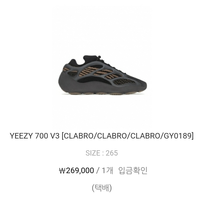 Adidas Yeezy 700 V3 Clay Brown 착용 스타일