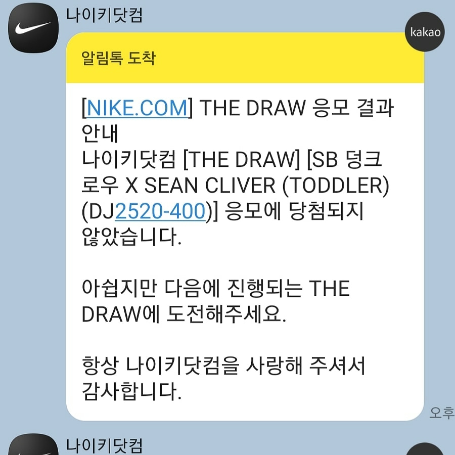 Nike x Sean Cliver SB Dunk Low Holiday Special 착용 스타일
