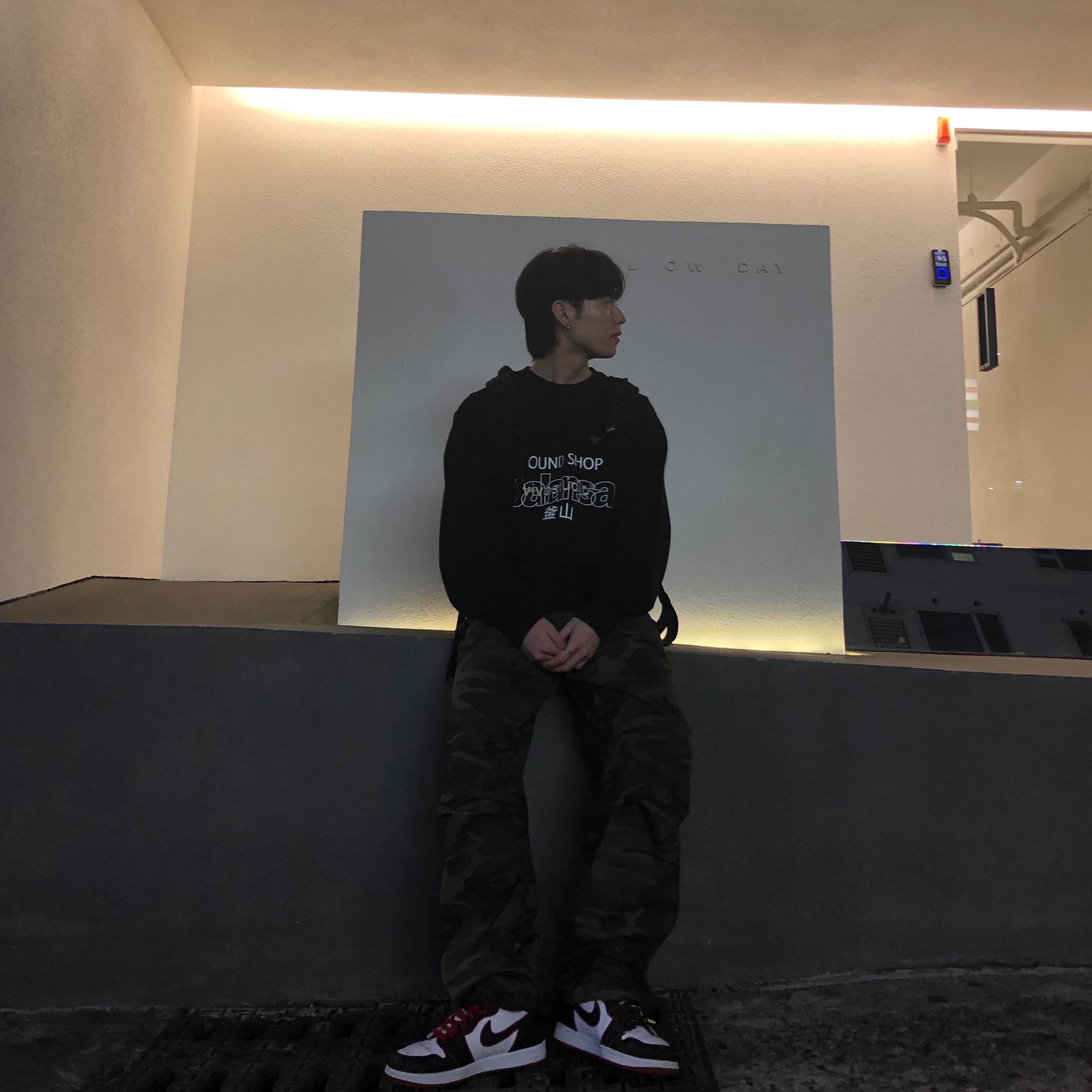 Jordan 1 Retro High OG Bloodline 착용 스타일