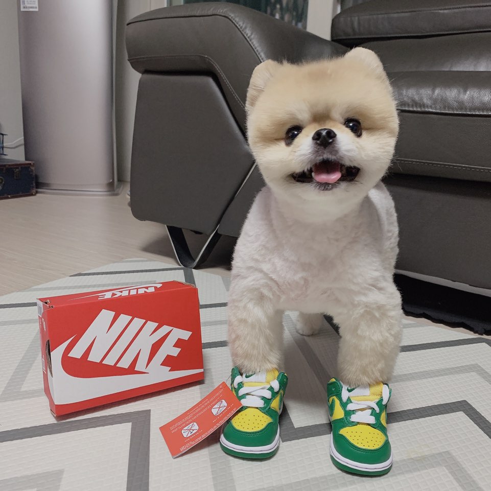(TD) Nike Dunk Low Brazil 2020 착용 스타일