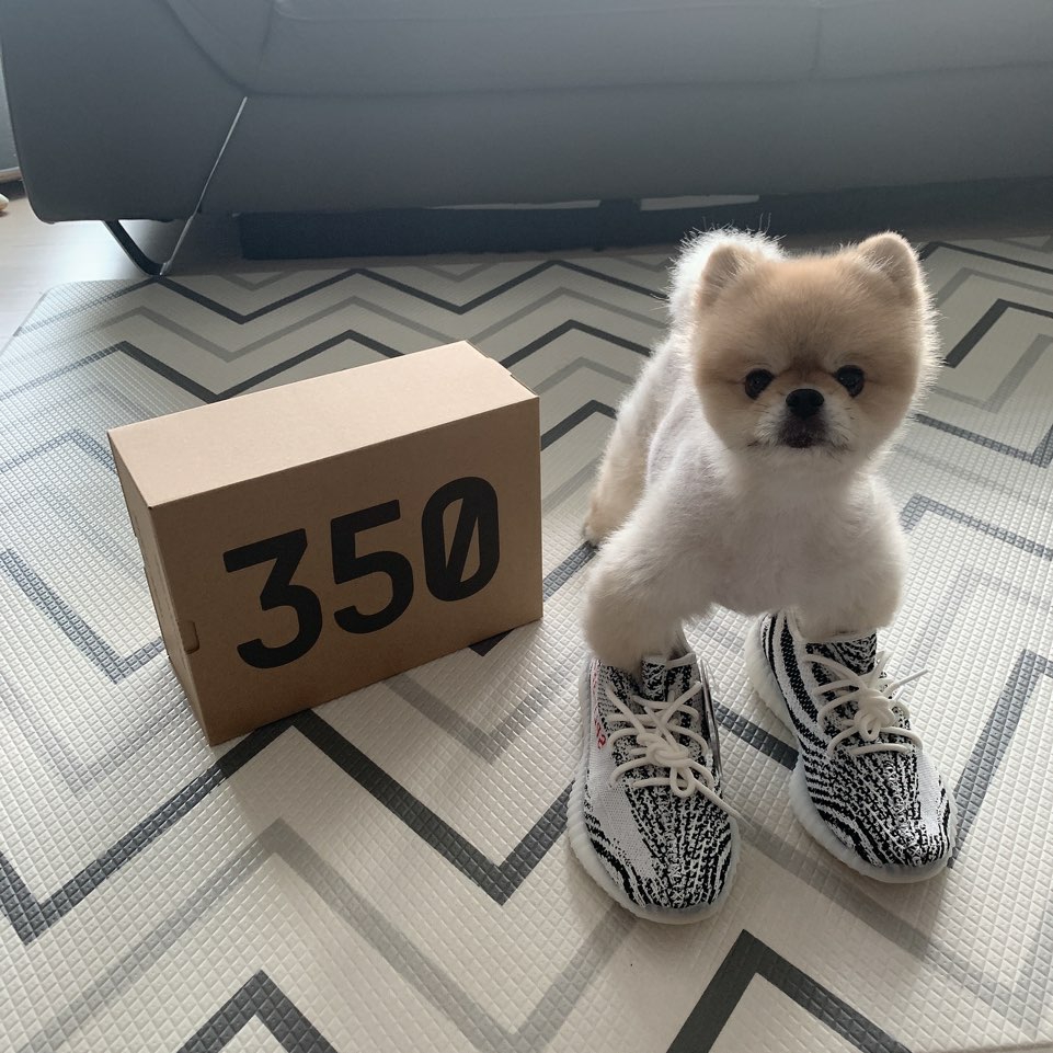 Adidas Yeezy Boost 350 V2 Zebra 2017/2019/2020 착용 스타일