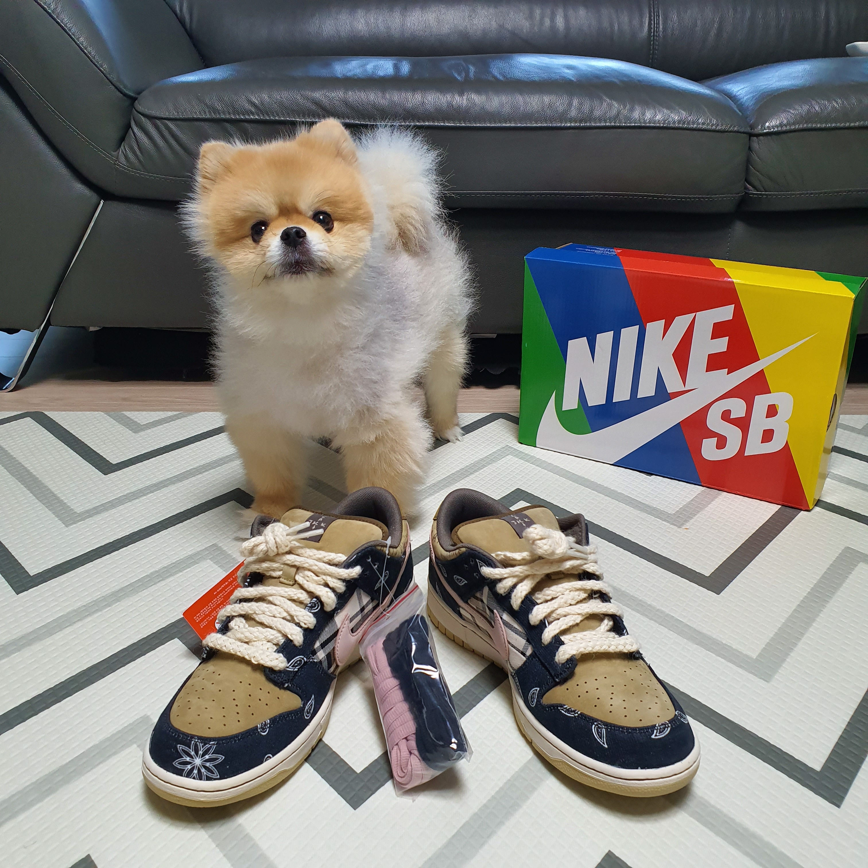 Nike x Travis Scott SB Dunk Low 착용 스타일