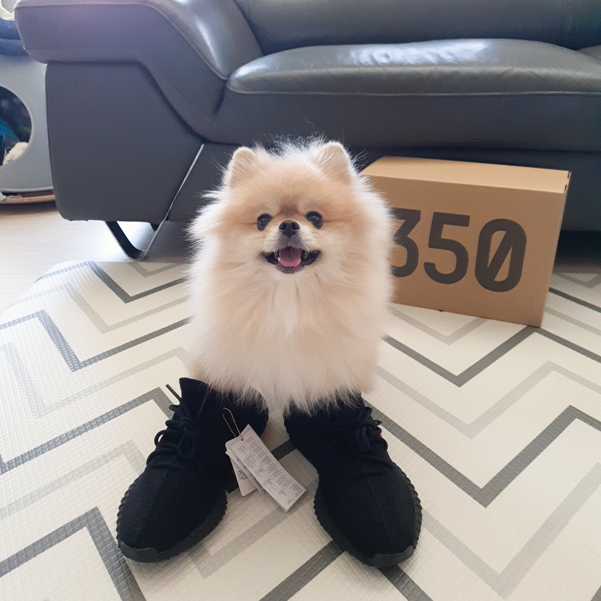Adidas Yeezy Boost 350 V2 Black Red 2020 착용 스타일