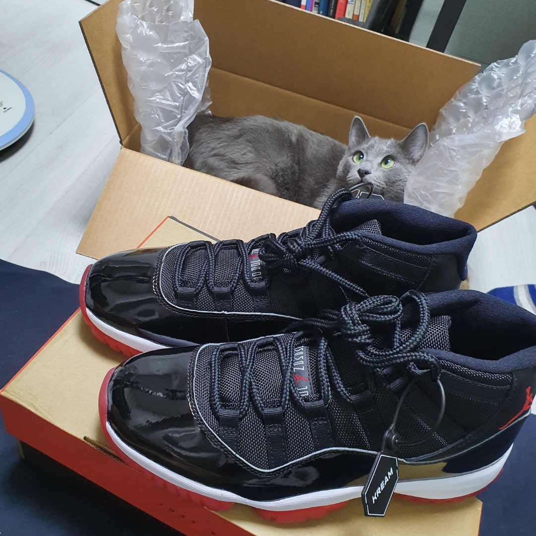 Jordan 11 Retro Bred 2019 착용 스타일