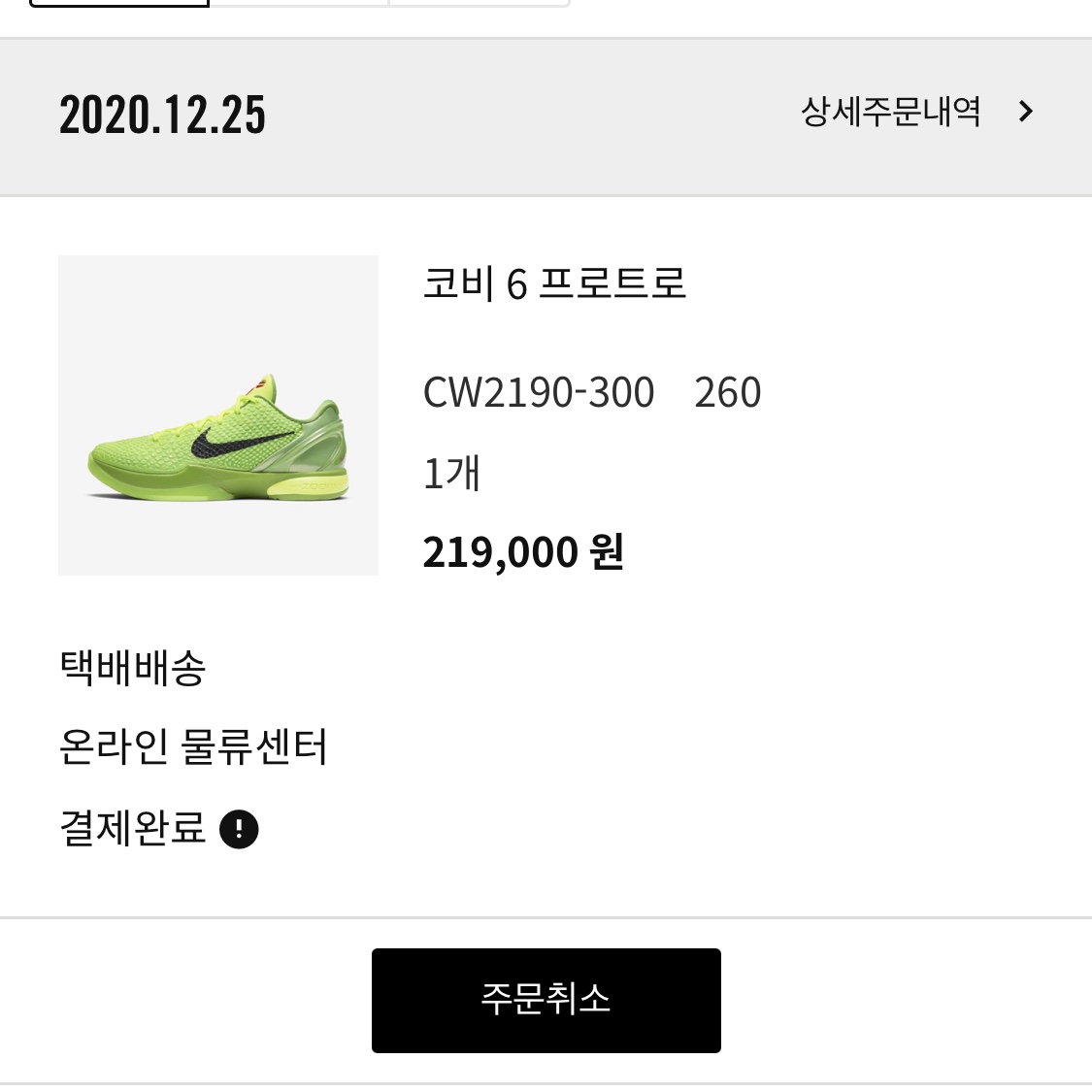 Nike Kobe 6 Protro Green Apple 착용 스타일