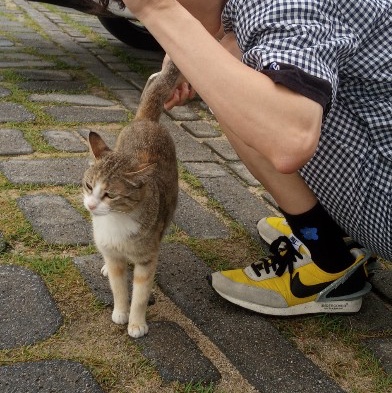 Nike x Undercover Daybreak Bright Citron 착용 스타일