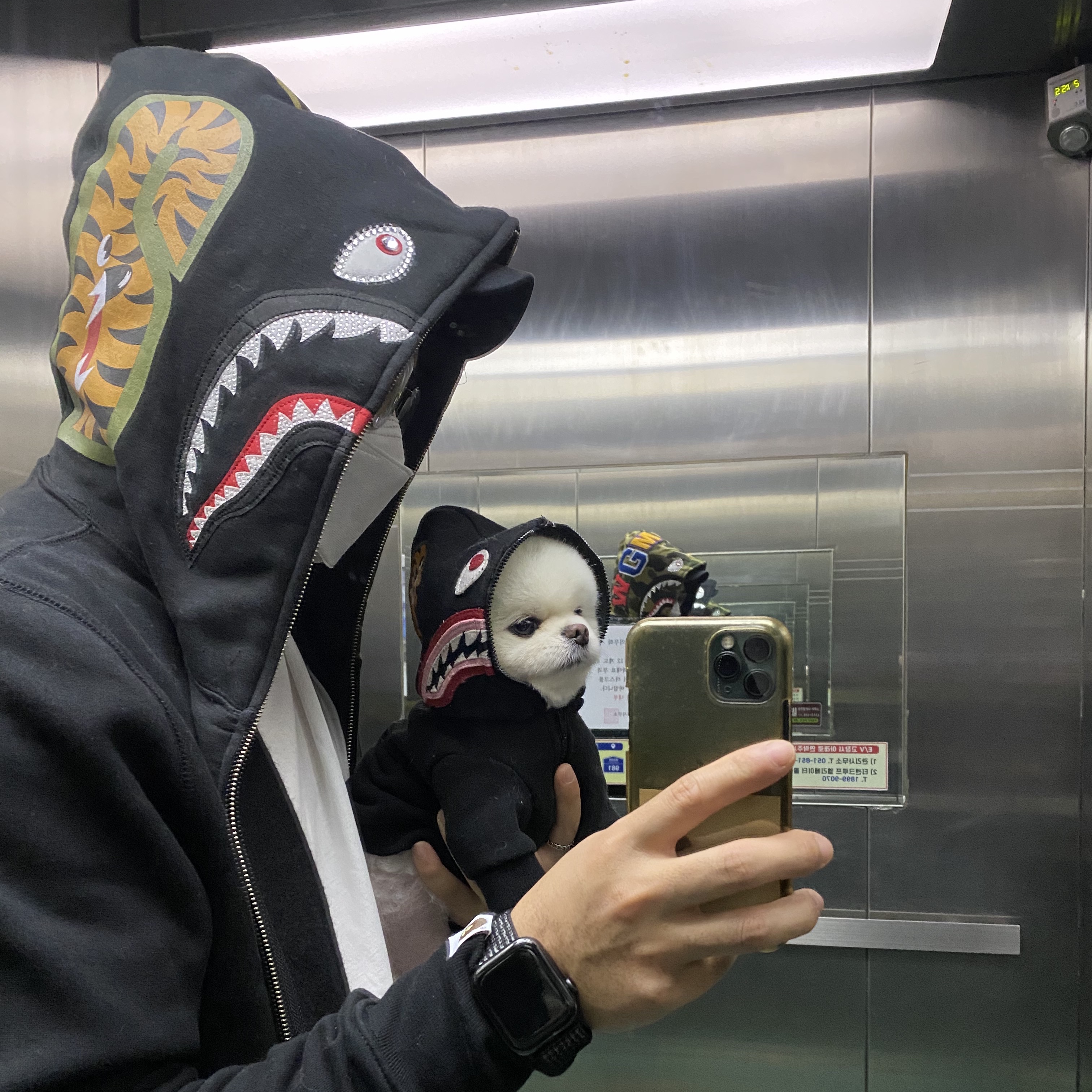 Timber님의 스타일
