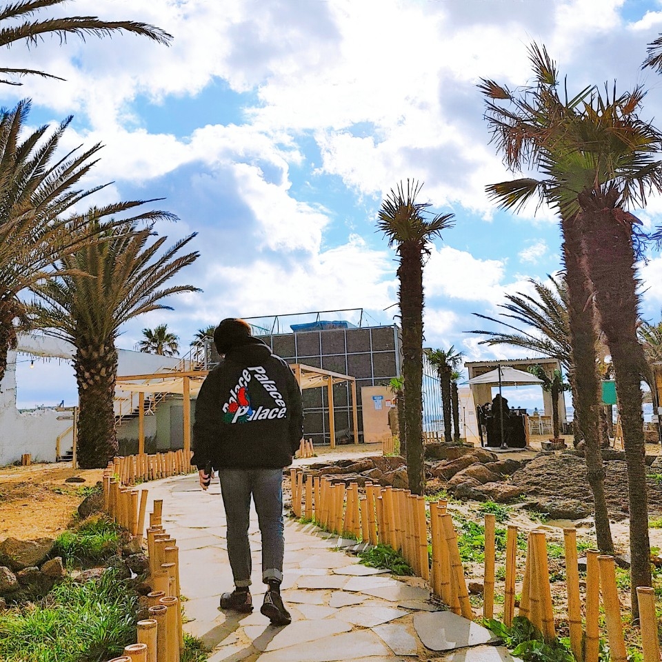 Palace Parrot Palace-3 Coach Jacket Black - 20FW, Nike ACG Mountain Fly Gore-Tex Black and Dark Grey 착용 스타일