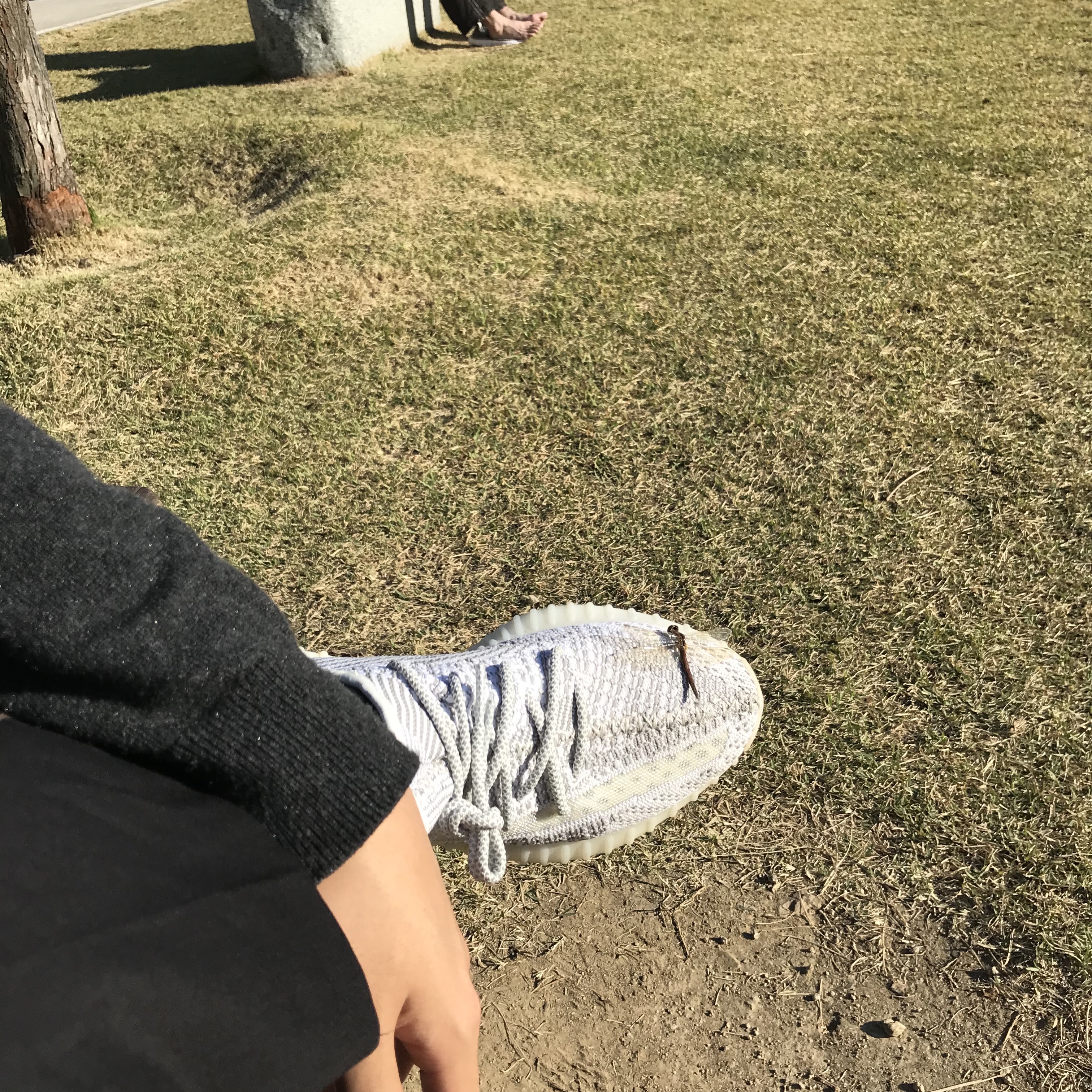 Adidas Yeezy Boost 350 V2 Static - Reflective 착용 스타일