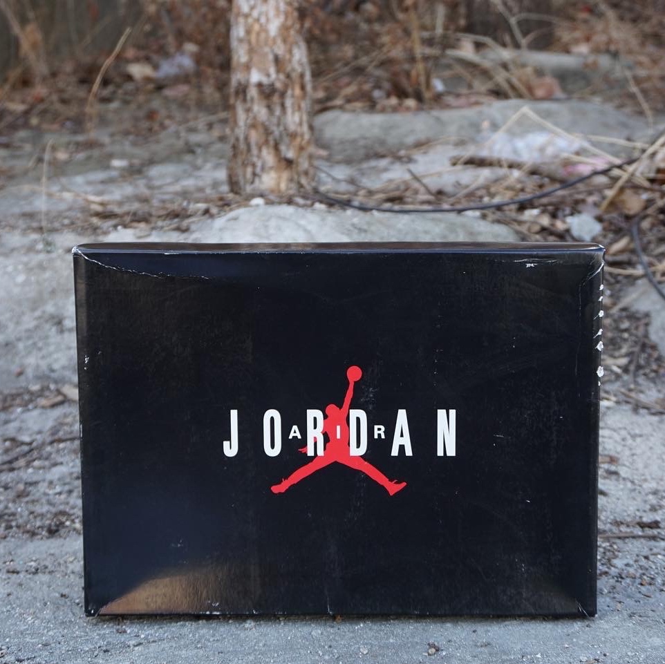 Jordan 11 Retro Low Iridescent 착용 스타일 - 4