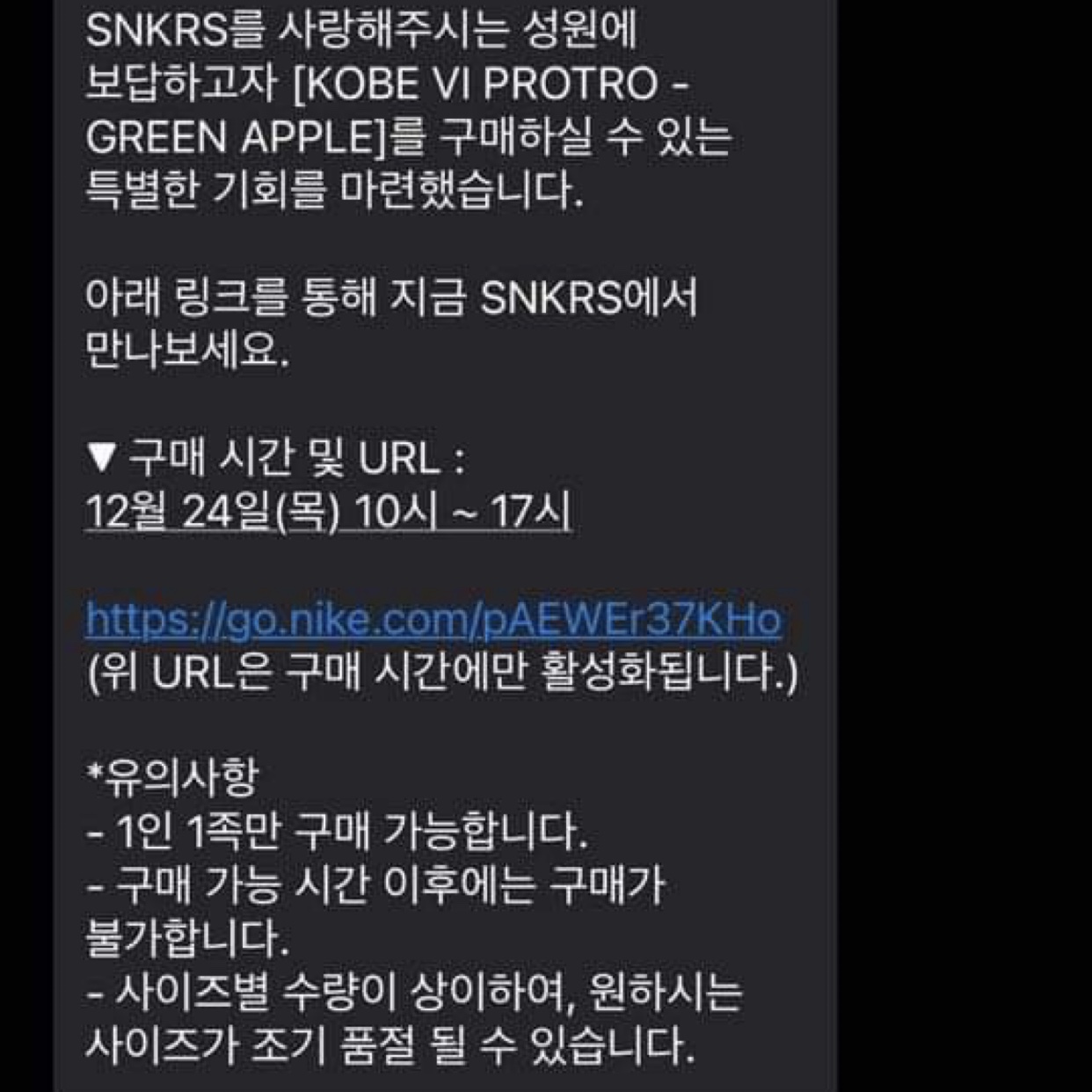 Nike Kobe 6 Protro Green Apple 착용 스타일