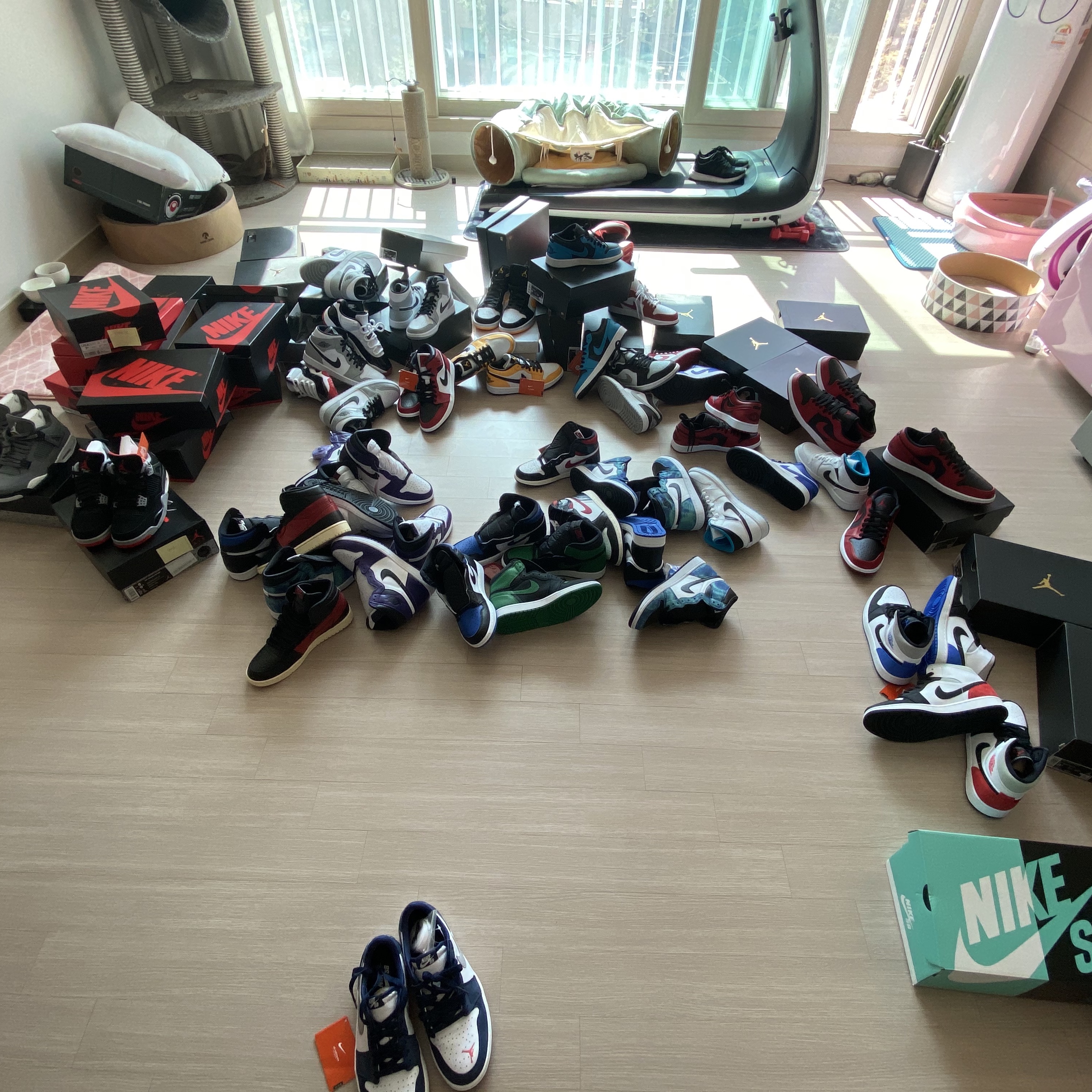 Jordan 1 Retro High OG Royal Toe, Jordan 1 Retro High OG Court Purple 2020 착용 스타일 - 1