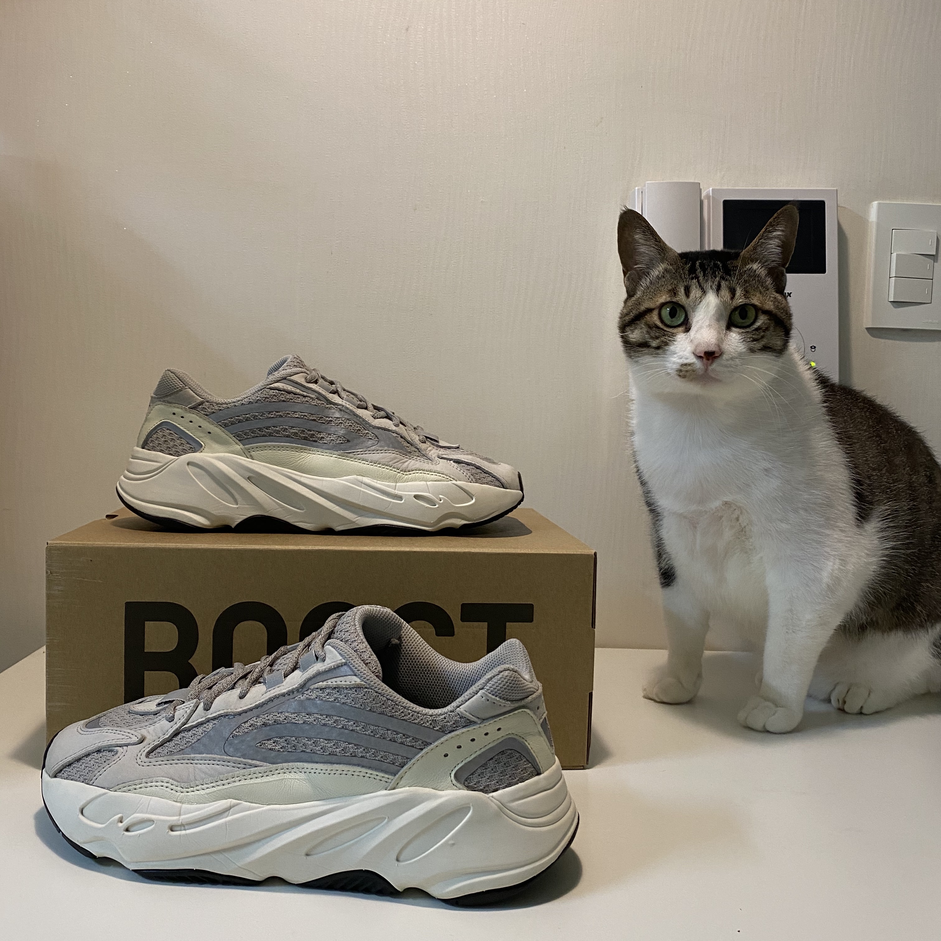 Adidas Yeezy Boost 700 V2 Static 2018 착용 스타일 - 1