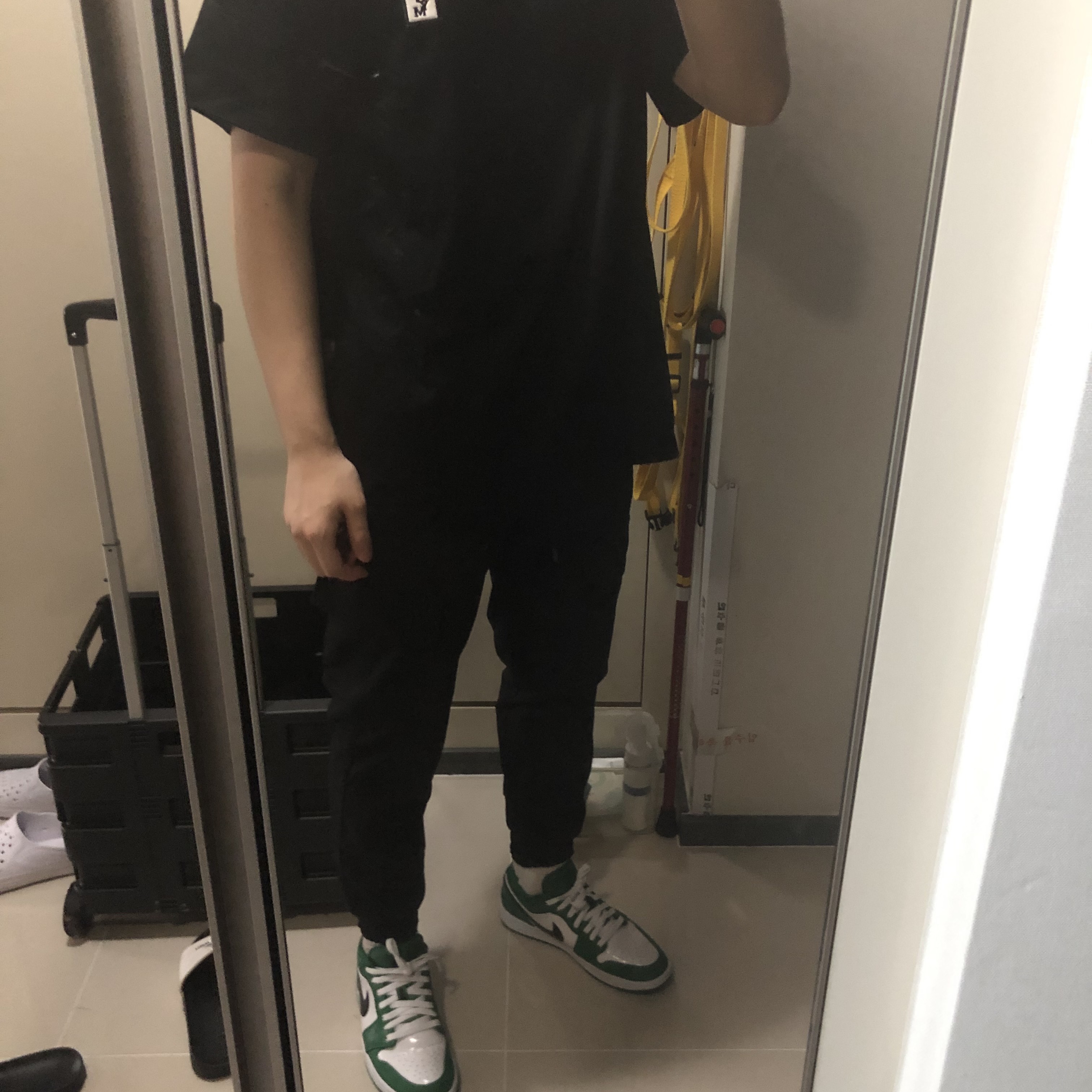 Jordan 1 Low Pine Green 착용 스타일