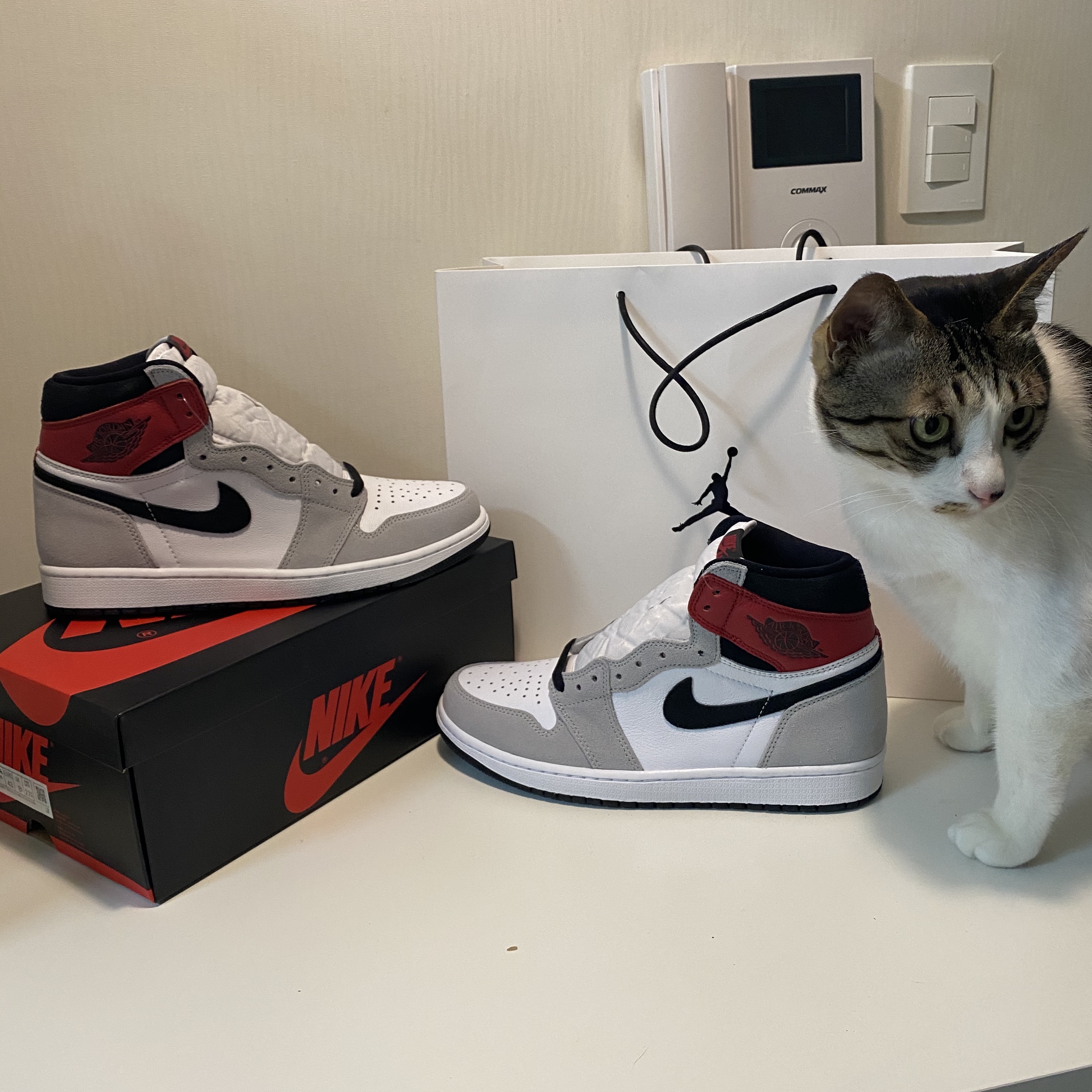 Jordan 1 Retro High OG Light Smoke Grey 착용 스타일 - 1