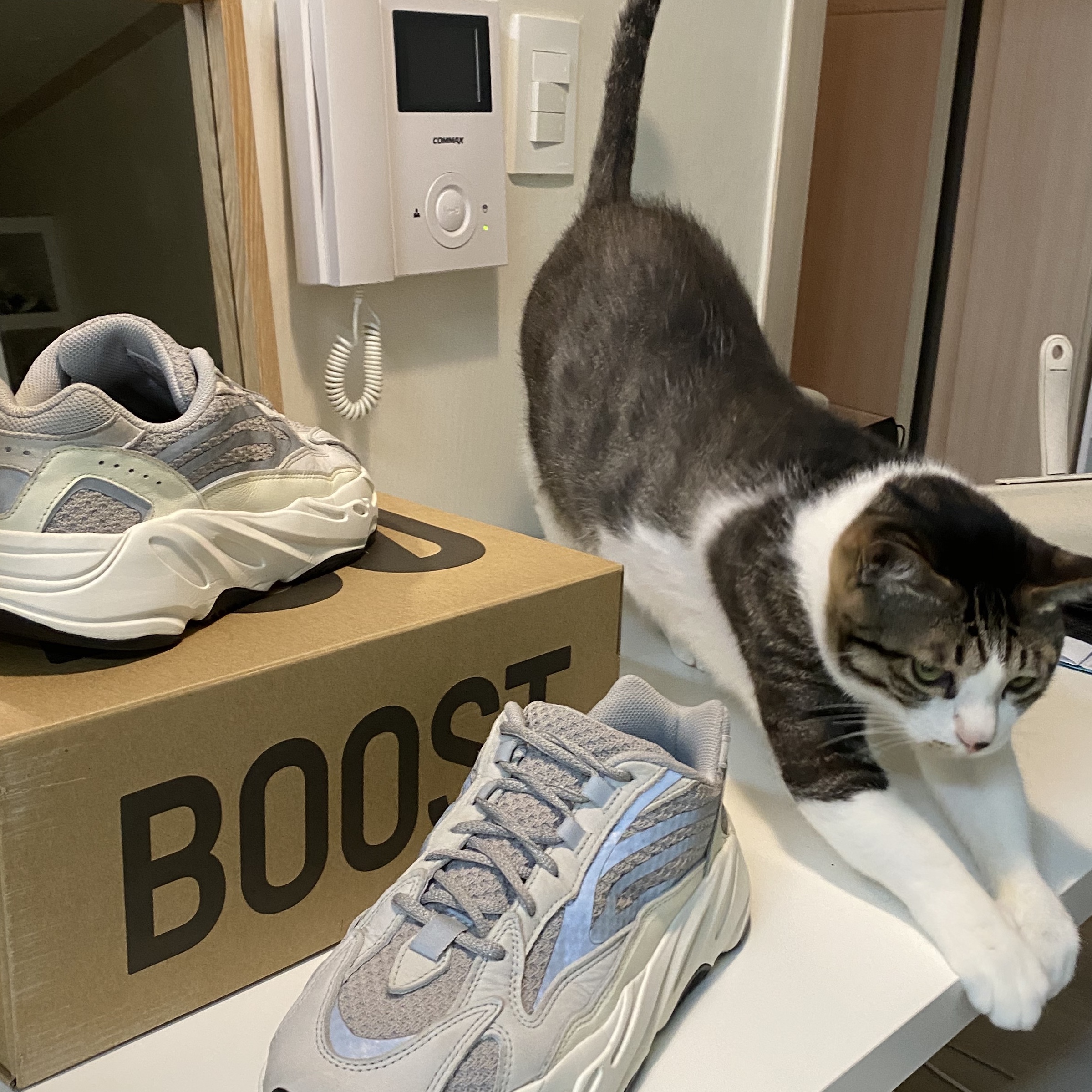 Adidas Yeezy Boost 700 V2 Static 2018 착용 스타일 - 2