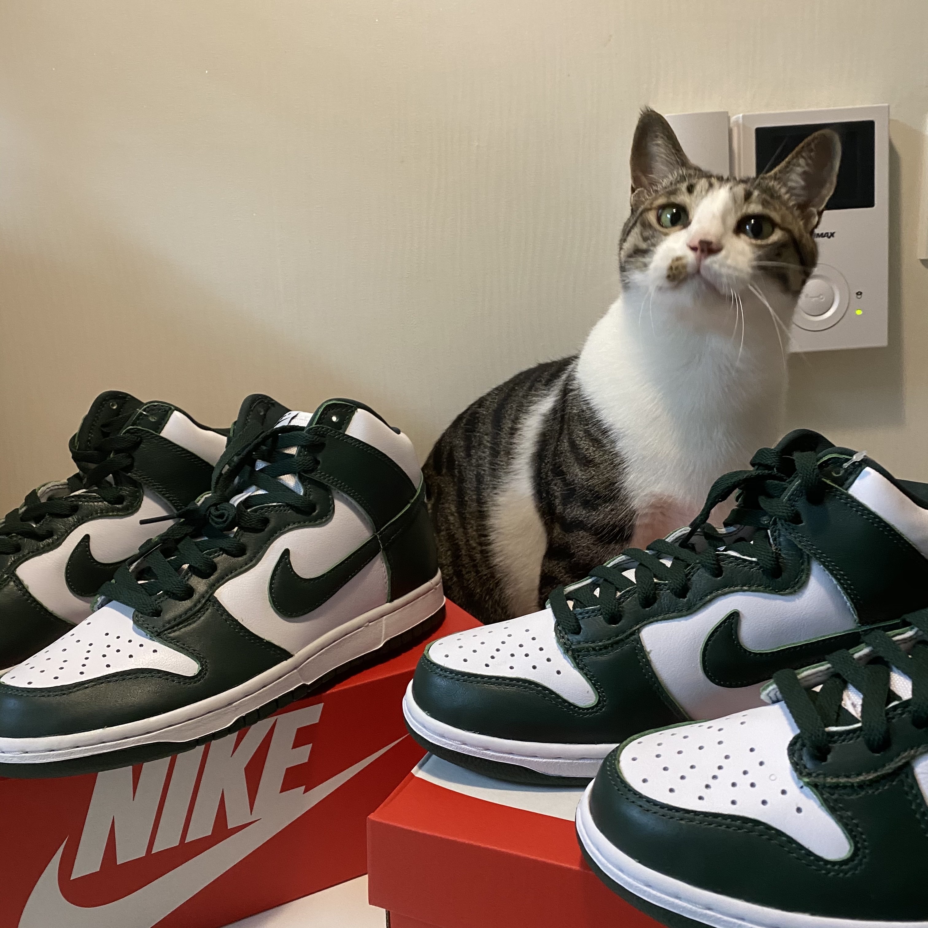 Nike Dunk High SP Spartan Green 착용 스타일 - 1