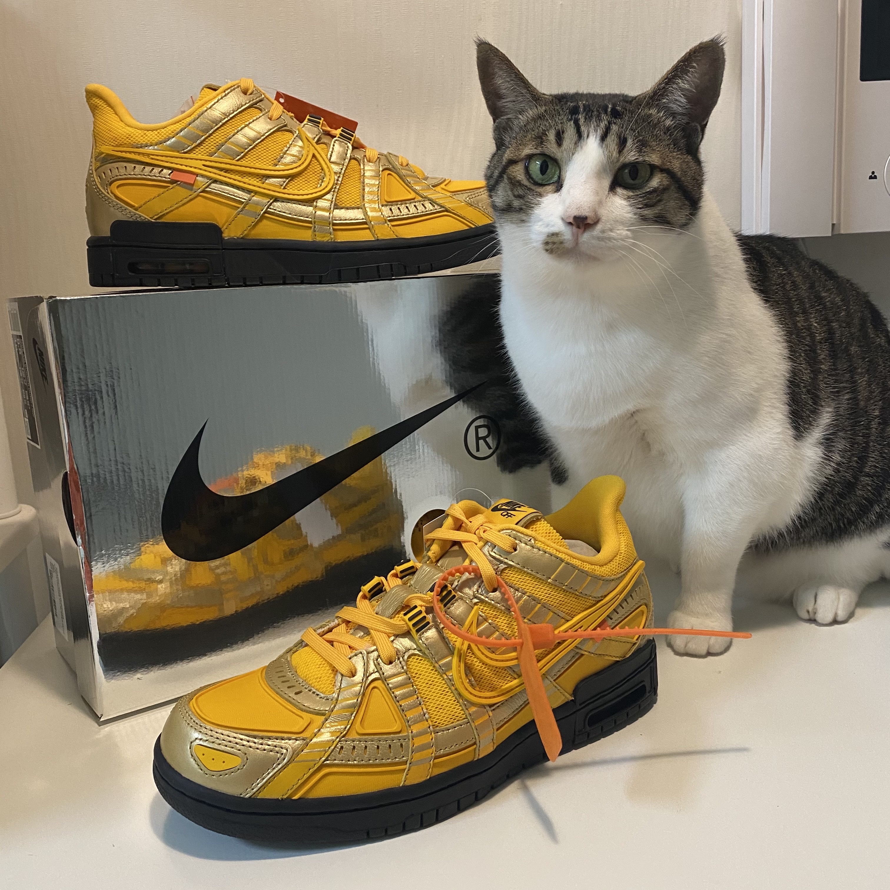 Nike x Off-White Air Rubber Dunk University Gold 착용 스타일 - 2