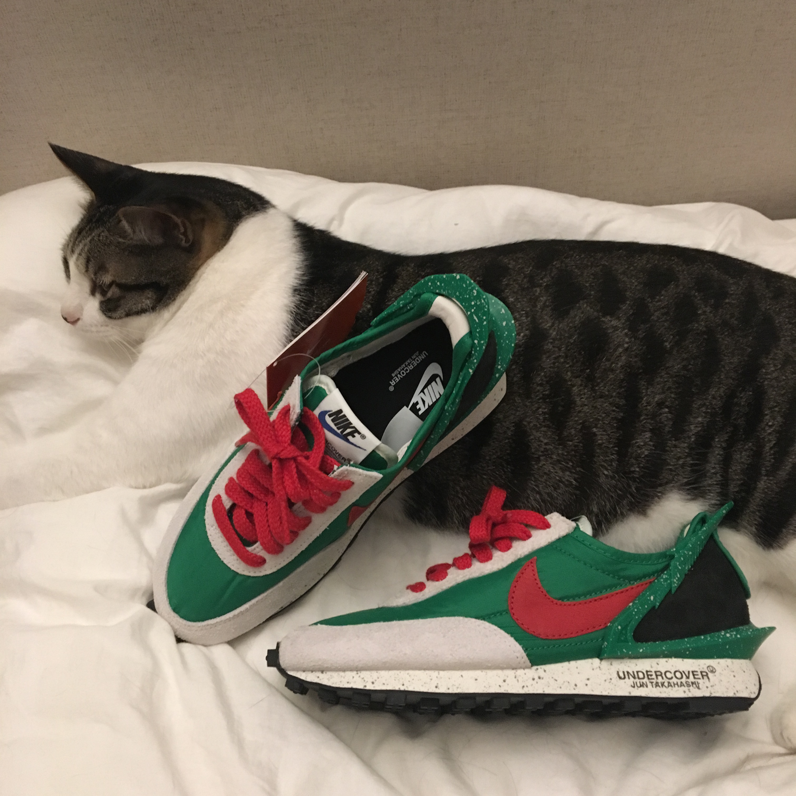 (W) Nike x Undercover Daybreak Lucky Green Red 착용 스타일 - 1