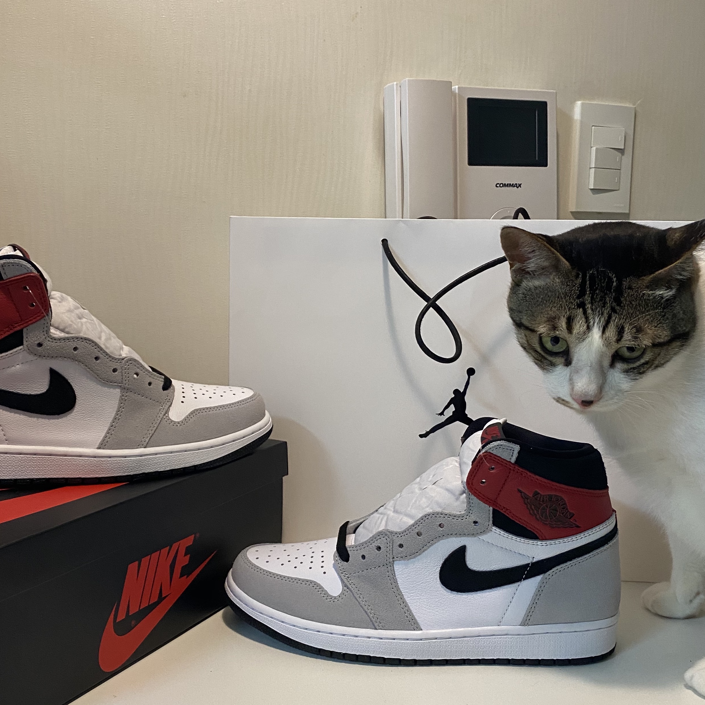 Jordan 1 Retro High OG Light Smoke Grey 착용 스타일 - 2