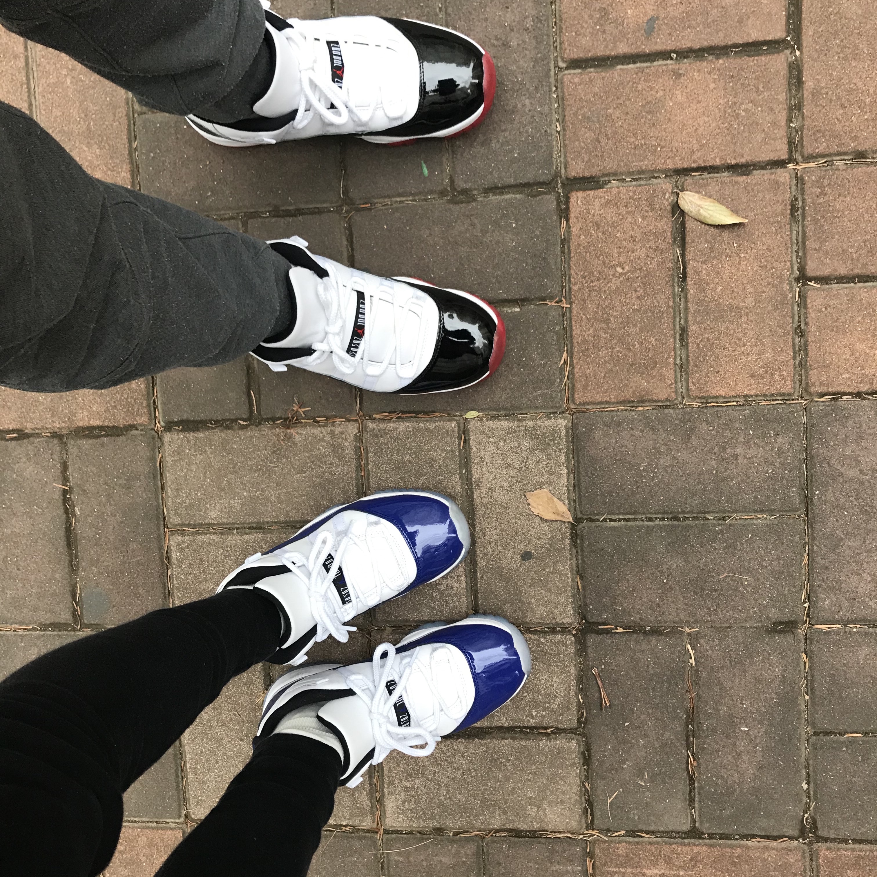 Jordan 11 Retro Low Concord Bred, (W) Jordan 11 Retro Low Concord Sketch 착용 스타일
