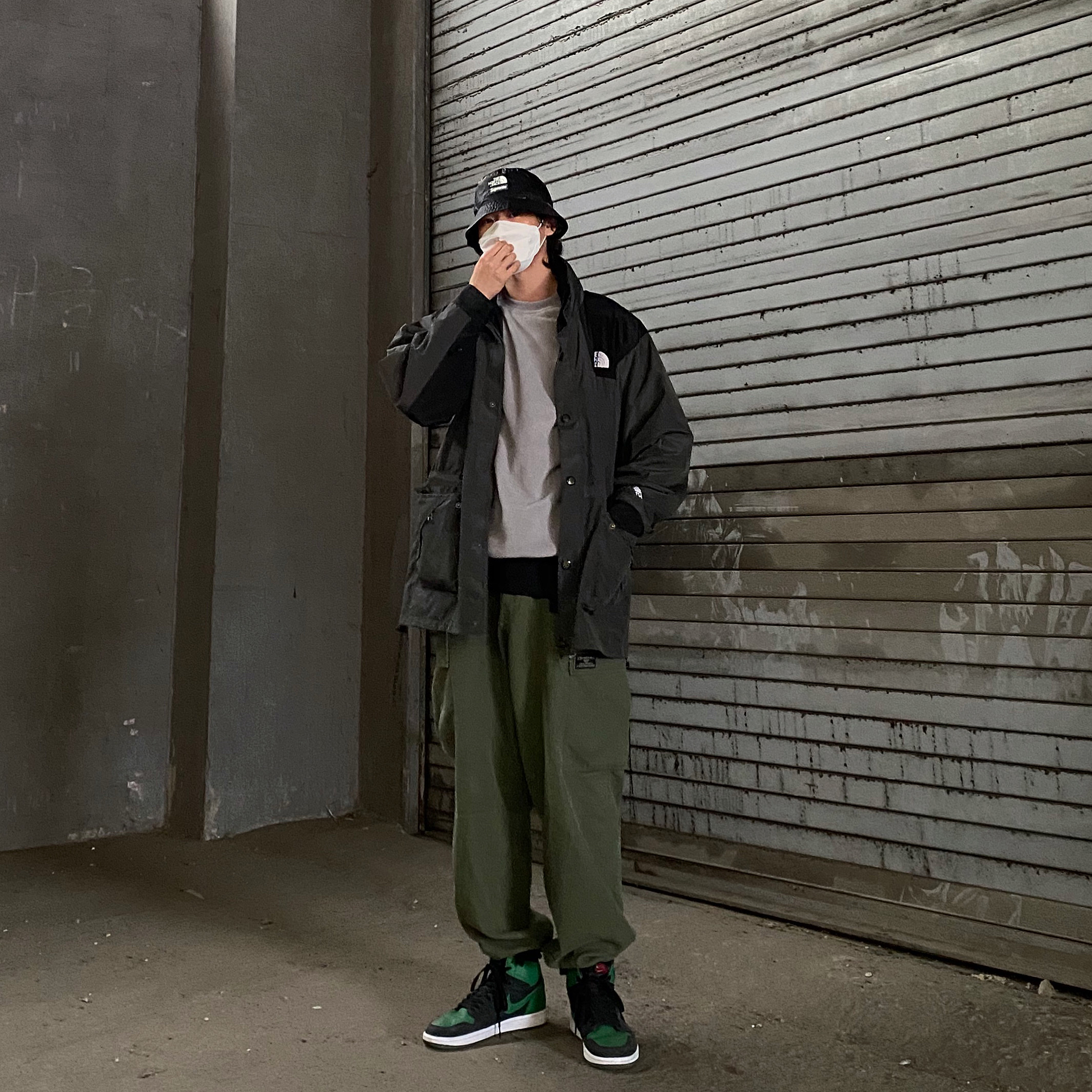 Jordan 1 Retro High OG Pine Green Black, Supreme x The North Face Snakeskin Packable Reversible Crusher Black - 18SS 착용 스타일