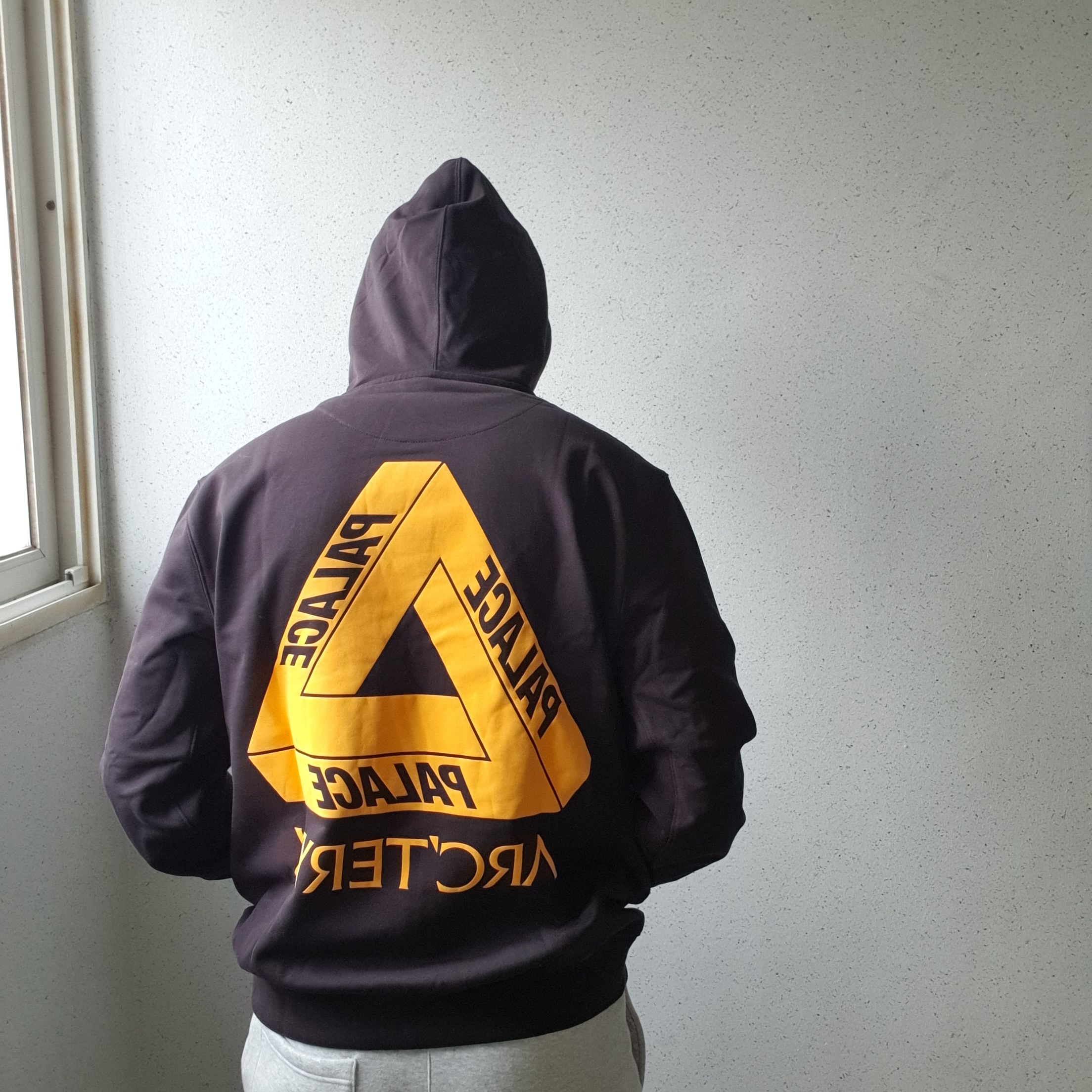 Palace x Arc'teryx Hood Black - 20FW 착용 스타일