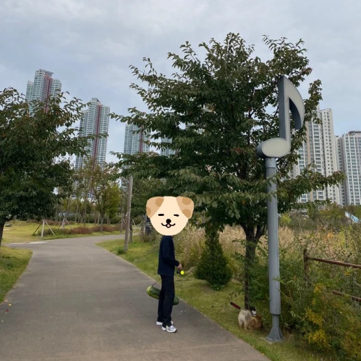 스타일 카드