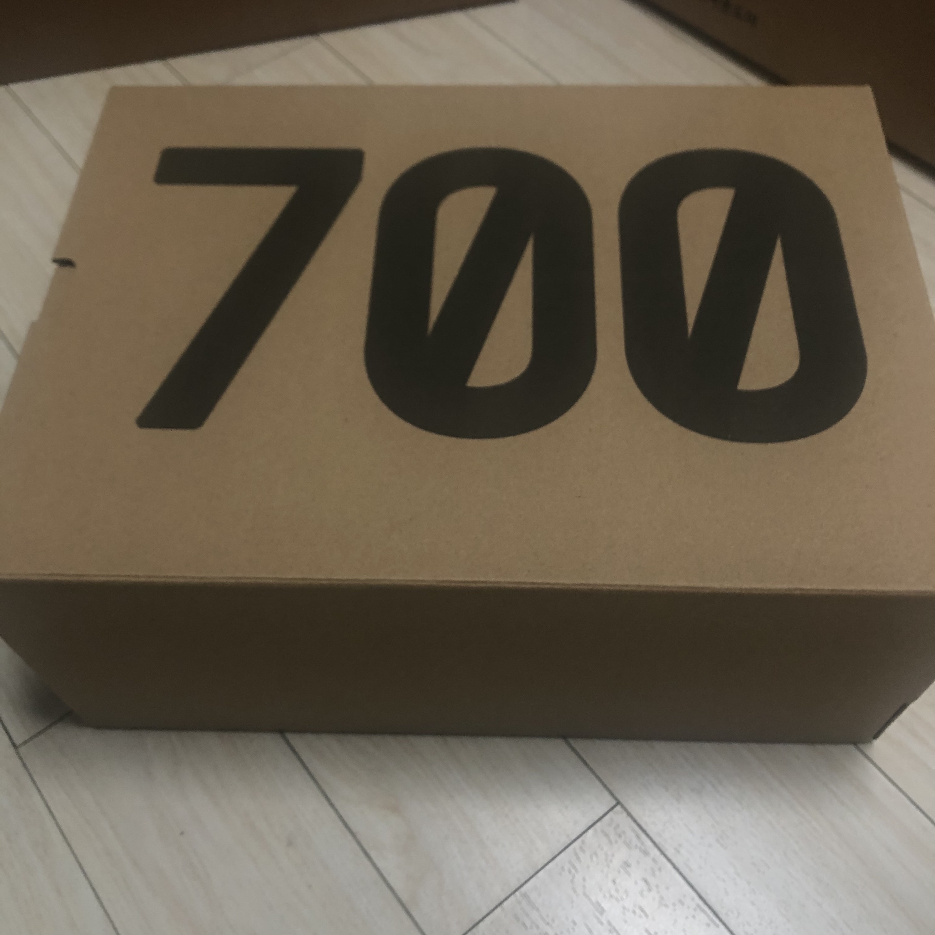 Adidas Yeezy 700 V3 Safflower 착용 스타일 - 1
