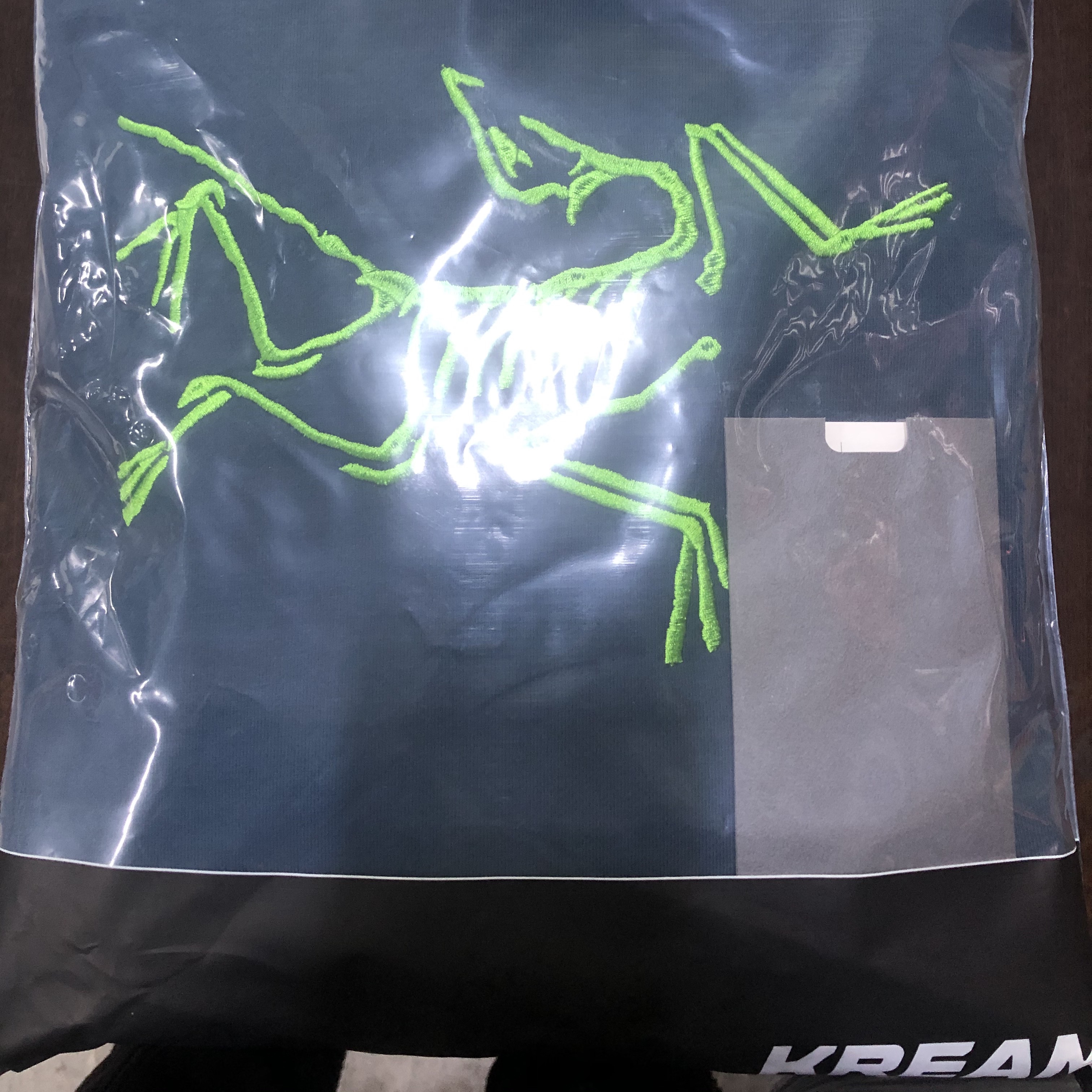 Palace x Arc'teryx Hood Teal - 20FW 착용 스타일 - 1