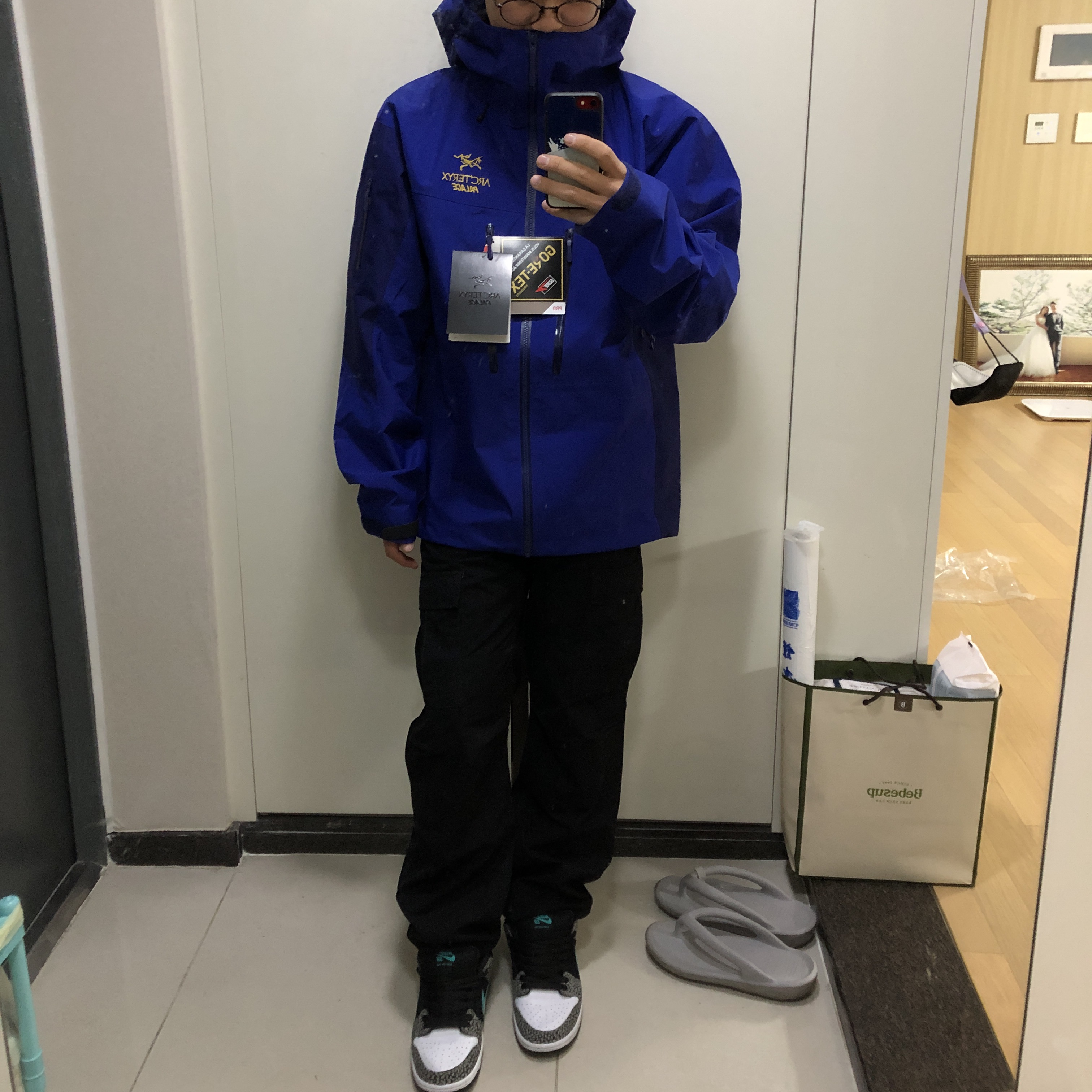 Palace x Arc'teryx Alpha SV Jacket Blue - 20FW, Nike SB Dunk Low Pro Clear Jade 착용 스타일