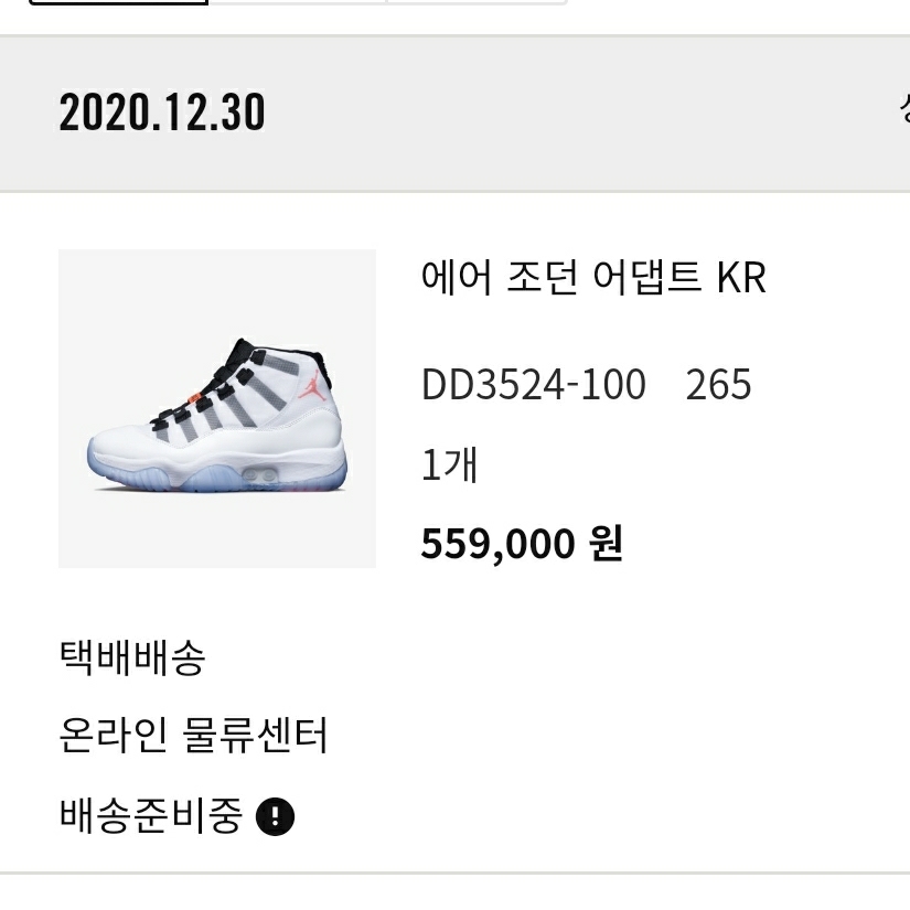Jordan 11 Adapt (KR Charger) 착용 스타일