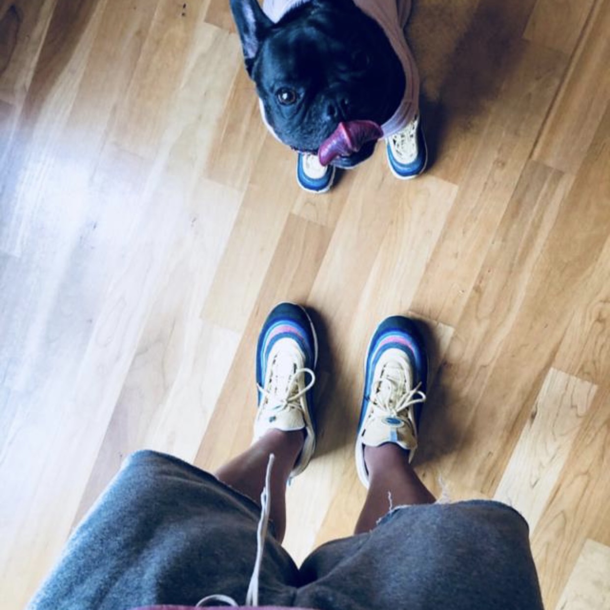 (TD) Nike x Sean Wotherspoon Air Max 1/97, Nike x Sean Wotherspoon Air Max 1/97 착용 스타일