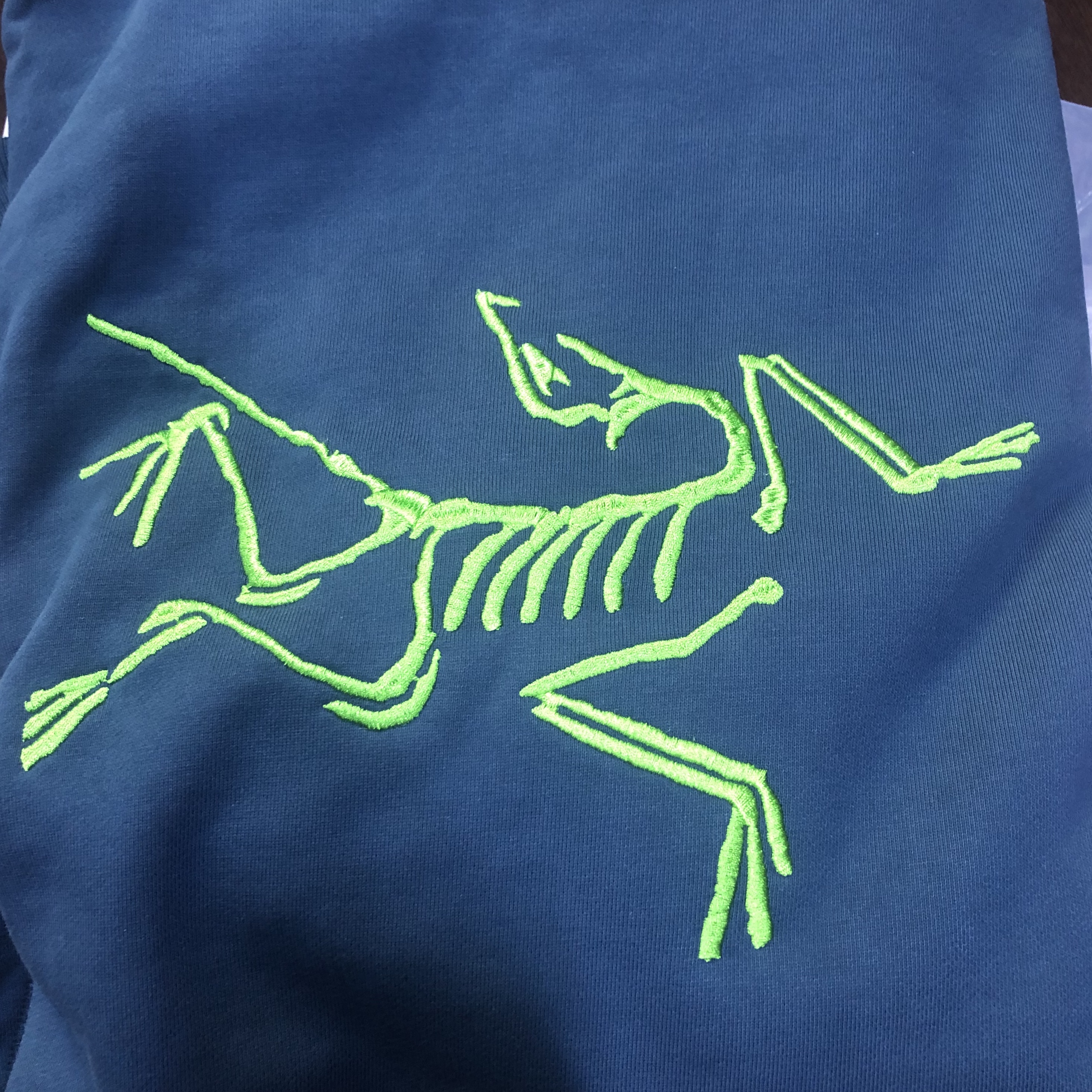 Palace x Arc'teryx Hood Teal - 20FW 착용 스타일 - 3