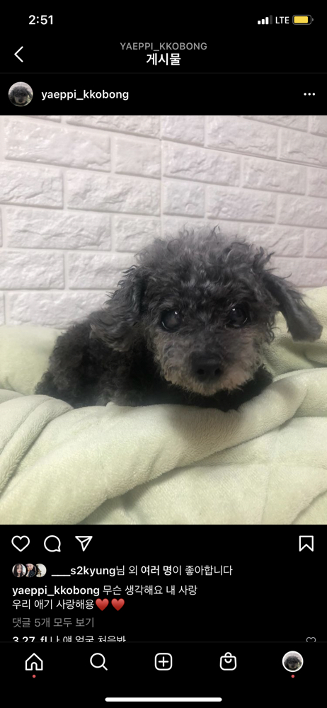 KREAM 프로필 이미지