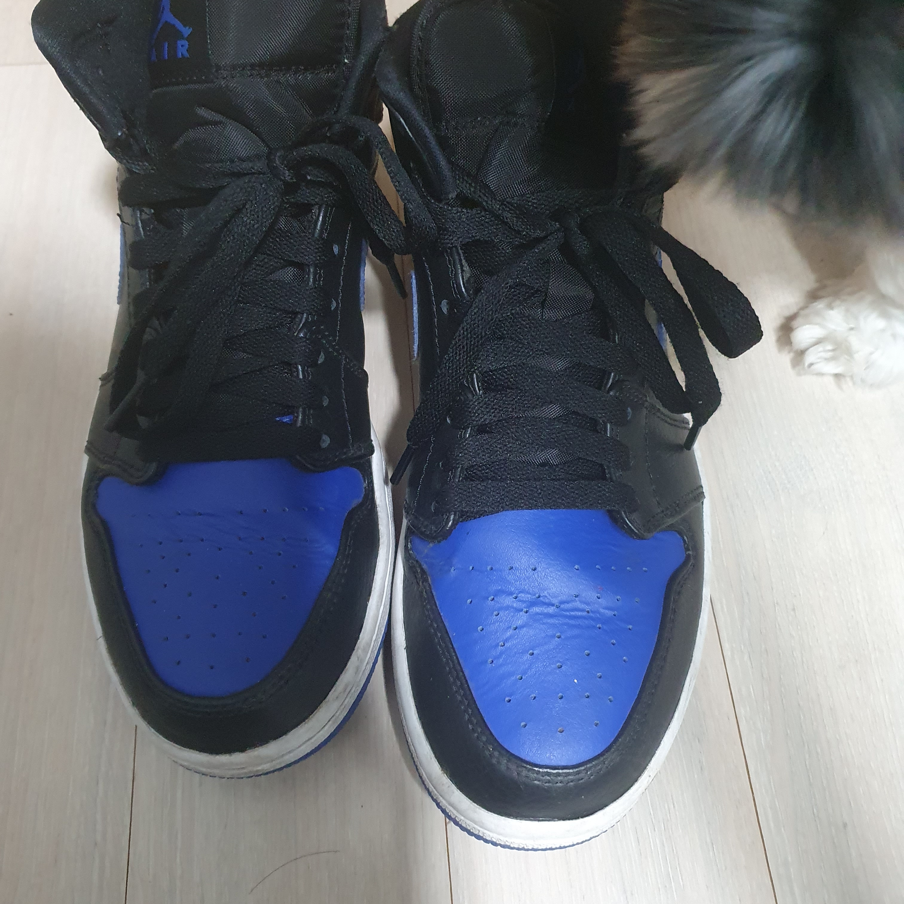 Jordan 1 Mid Royal 2020 착용 스타일