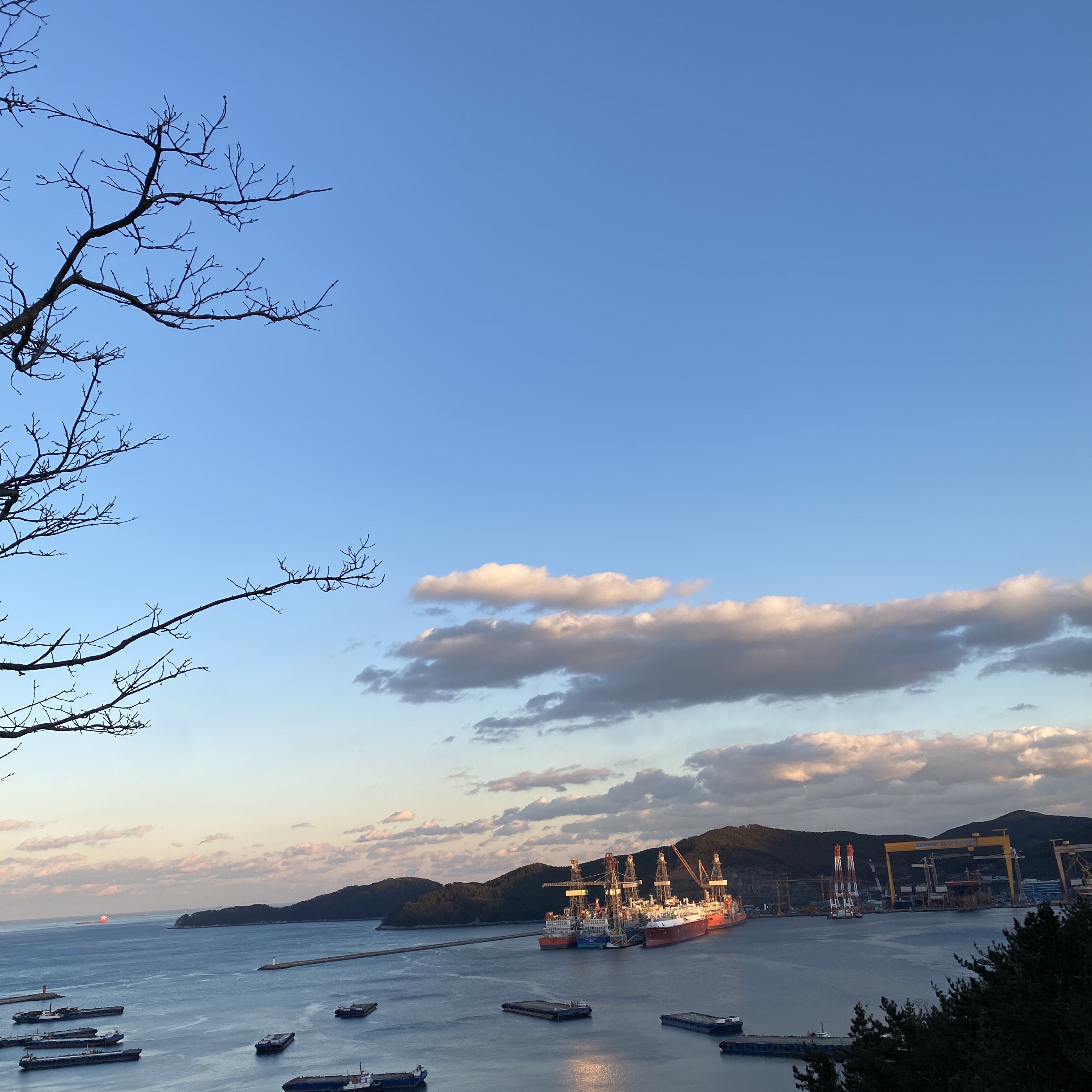 💚디랩쇼룸:또바기님의 스타일 - 2