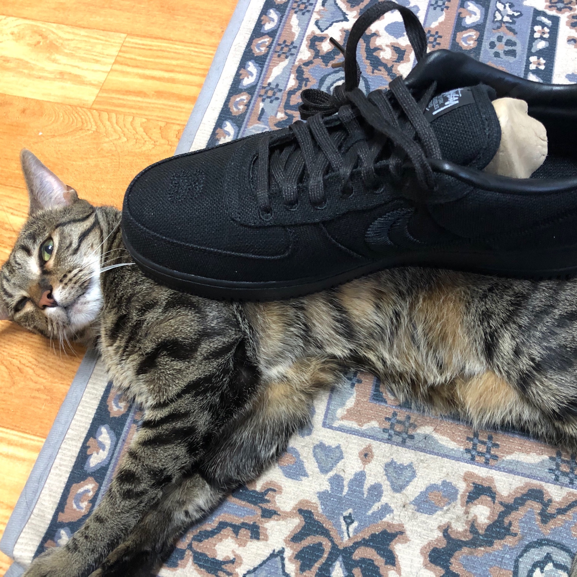 Nike x Stussy Air Force 1 Low Triple Black 착용 스타일