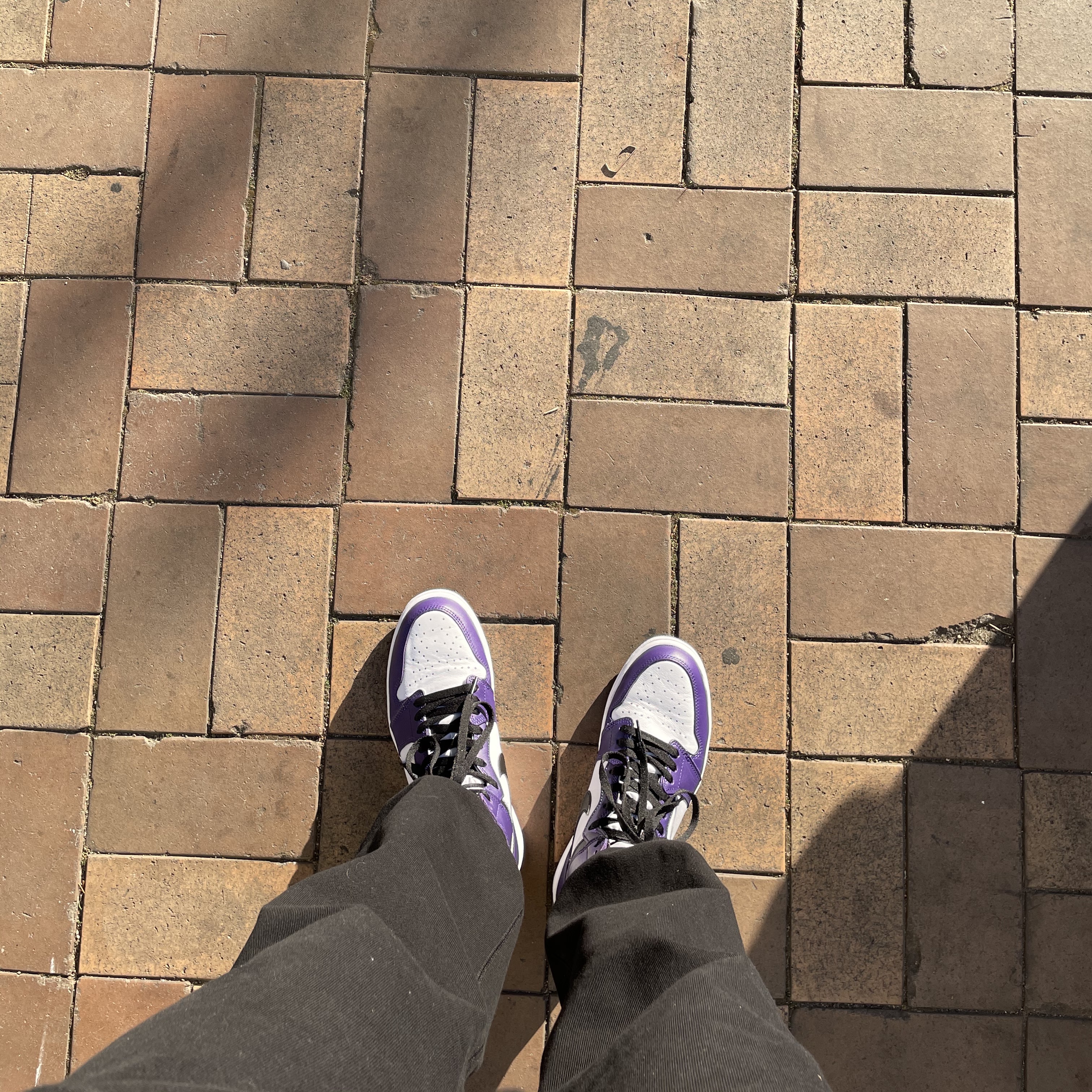 Jordan 1 Retro High OG Court Purple 2020 착용 스타일