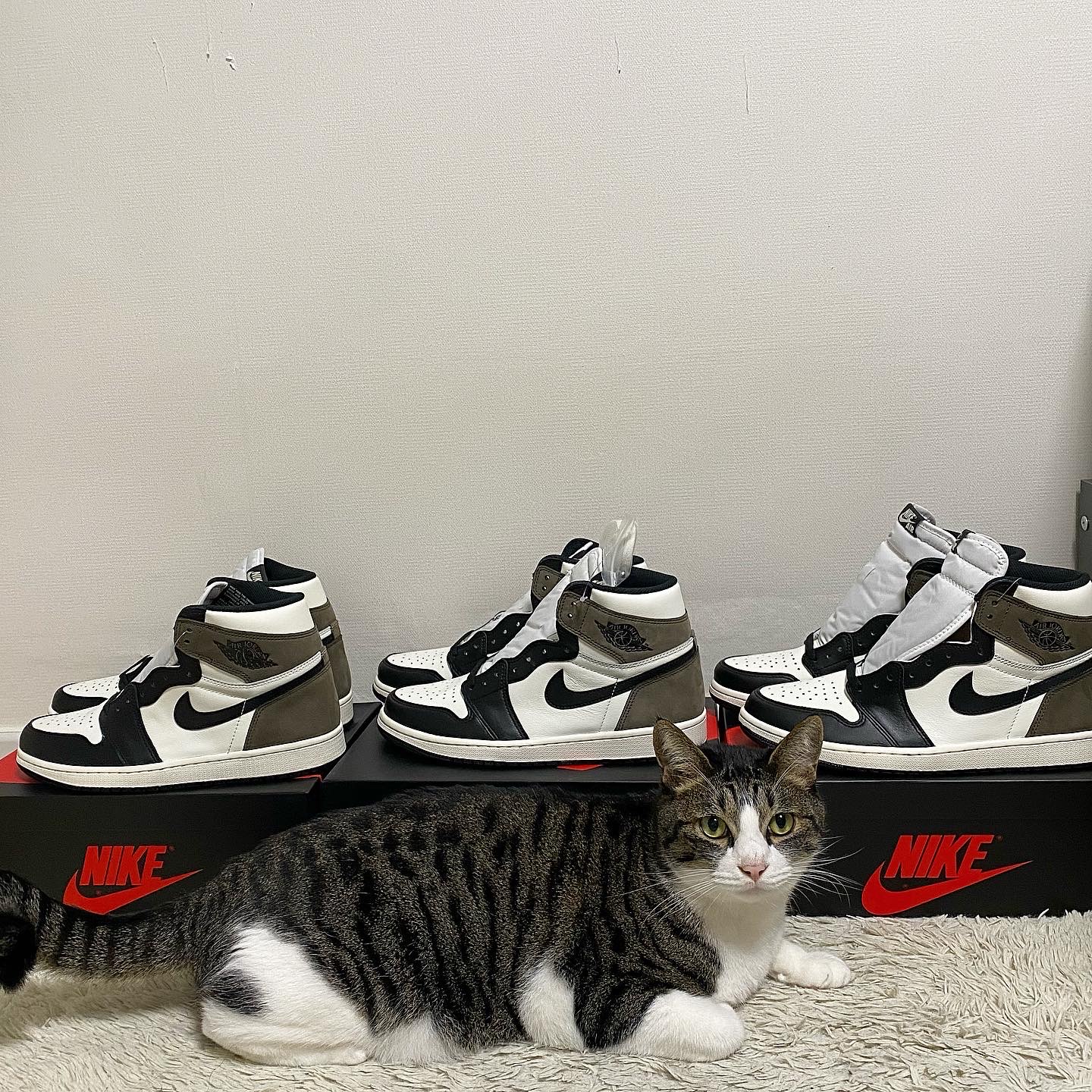 Jordan 1 x Travis Scott Retro High OG SP Mocha, Jordan 1 Retro High OG Black Mocha 착용 스타일 - 2