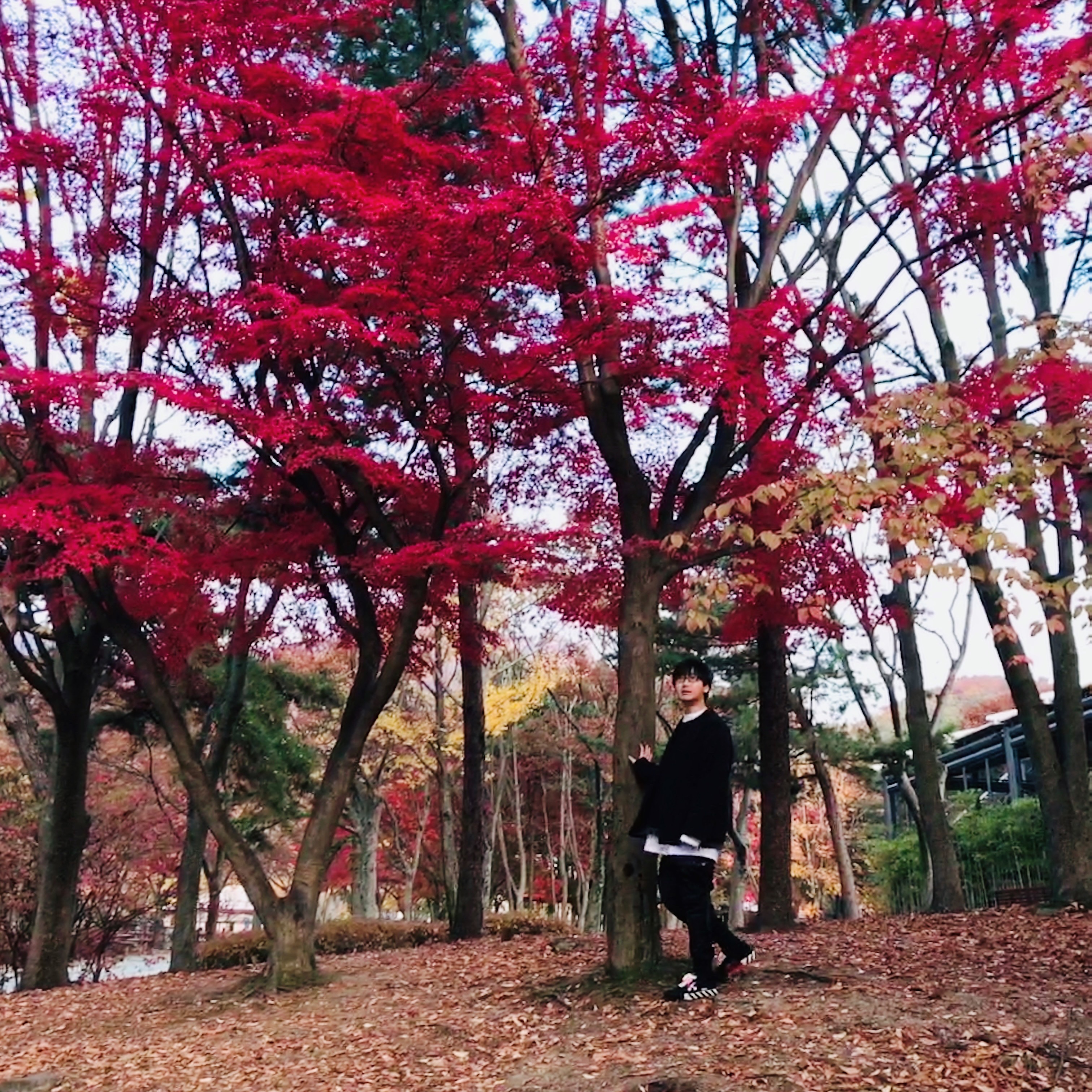 ebonyocean님의 스타일 - 1