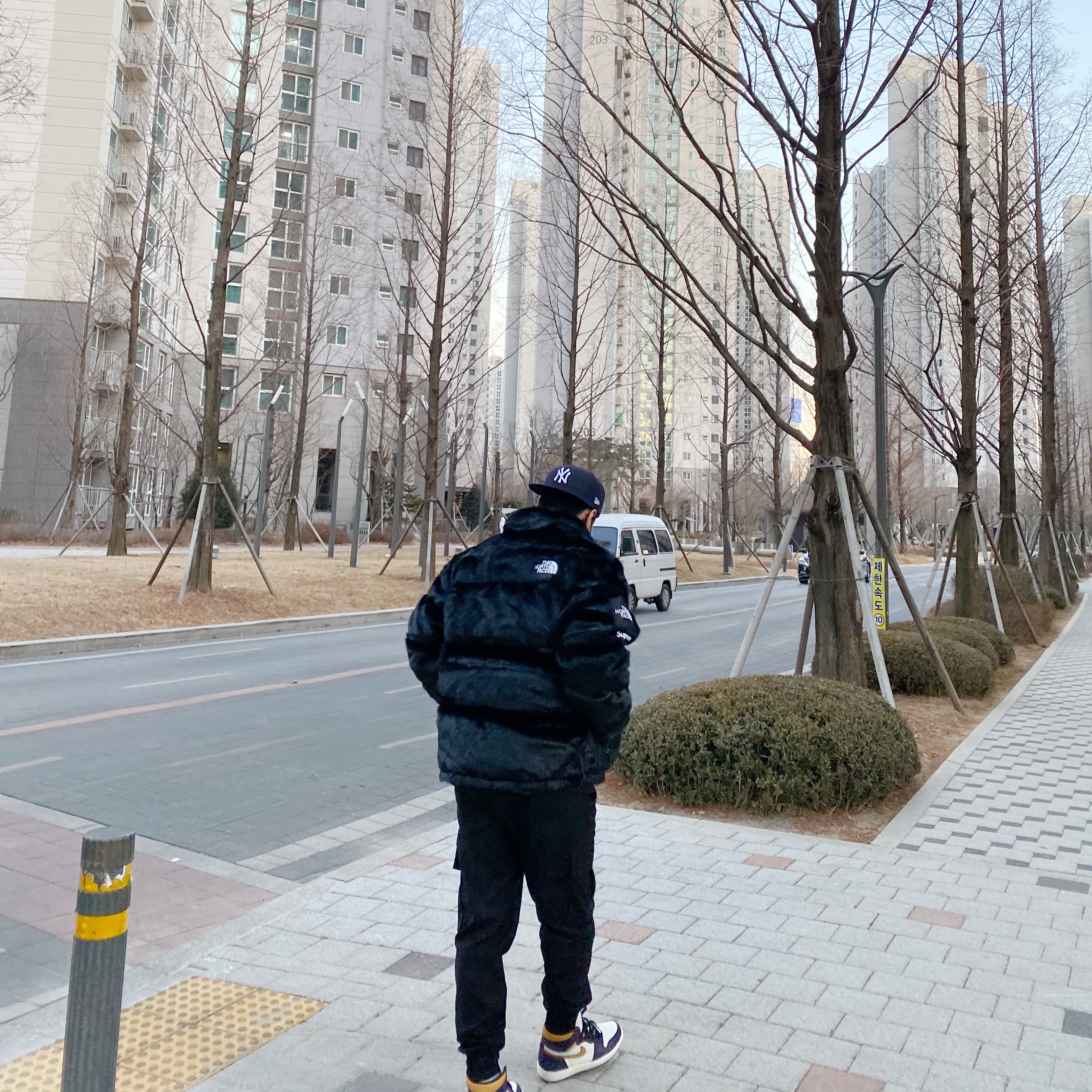 Supreme x The North Face Faux Fur Nuptse Jacket Black - 20FW, Jordan 1 Retro High OG Defiant SB LA to Chicago 착용 스타일