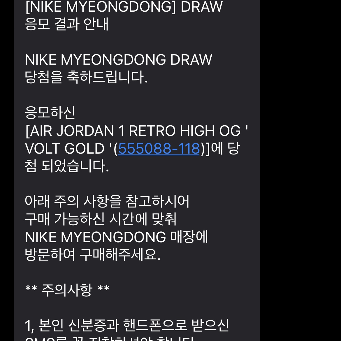 Jordan 1 Retro High OG Volt Gold 착용 스타일
