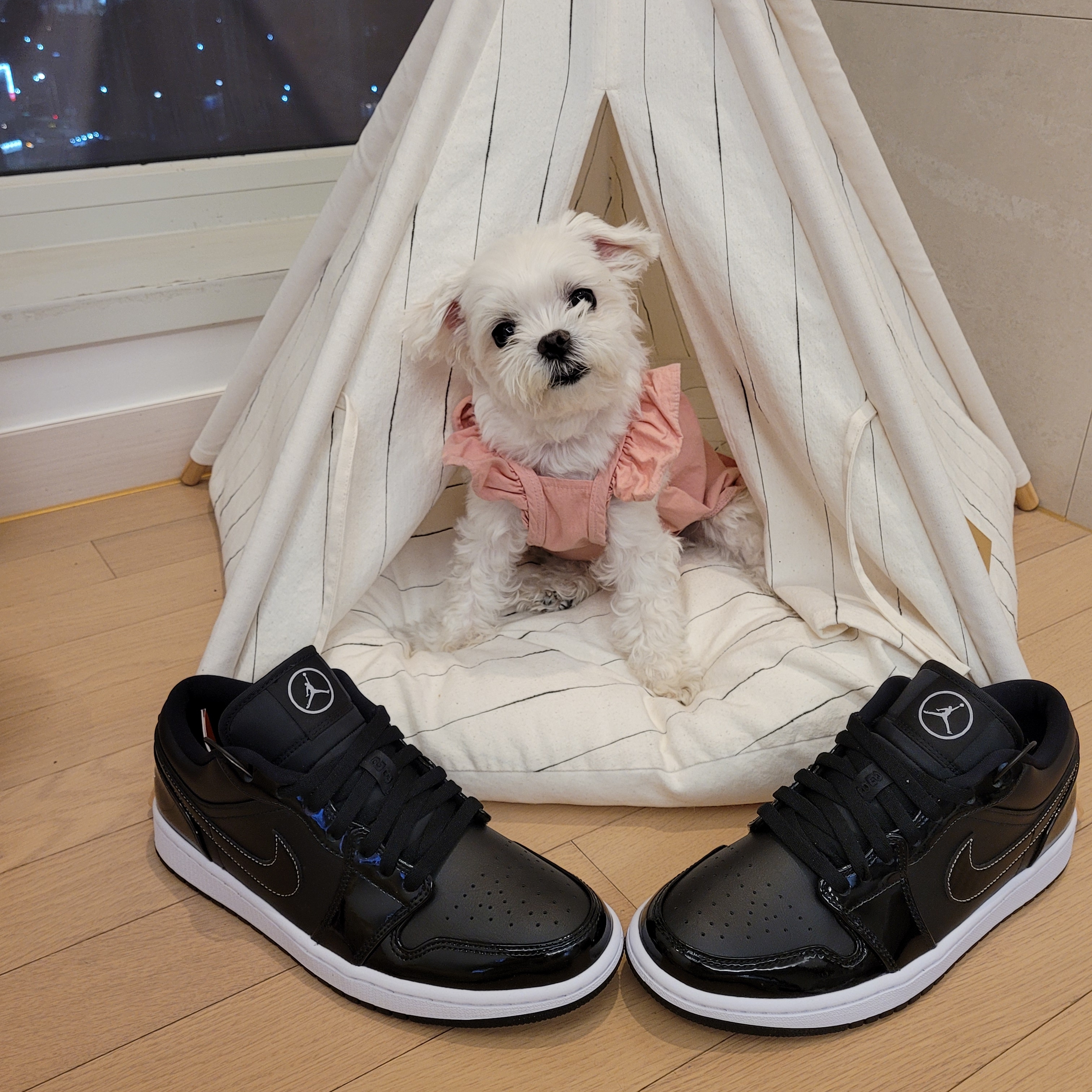 Jordan 1 Low SE ASW Black 착용 스타일 - 1