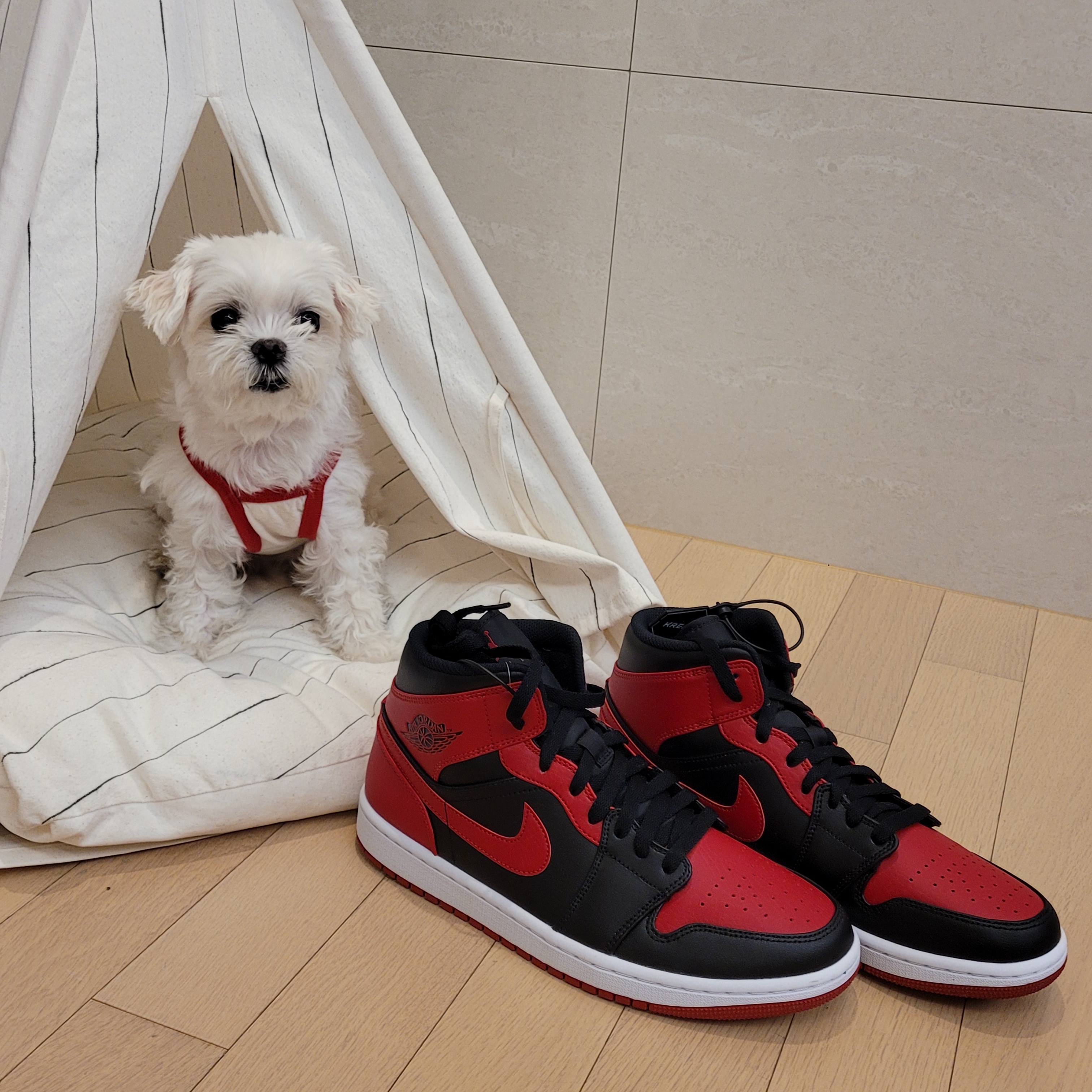 Jordan 1 Mid Bred Banned 2020 착용 스타일 - 1
